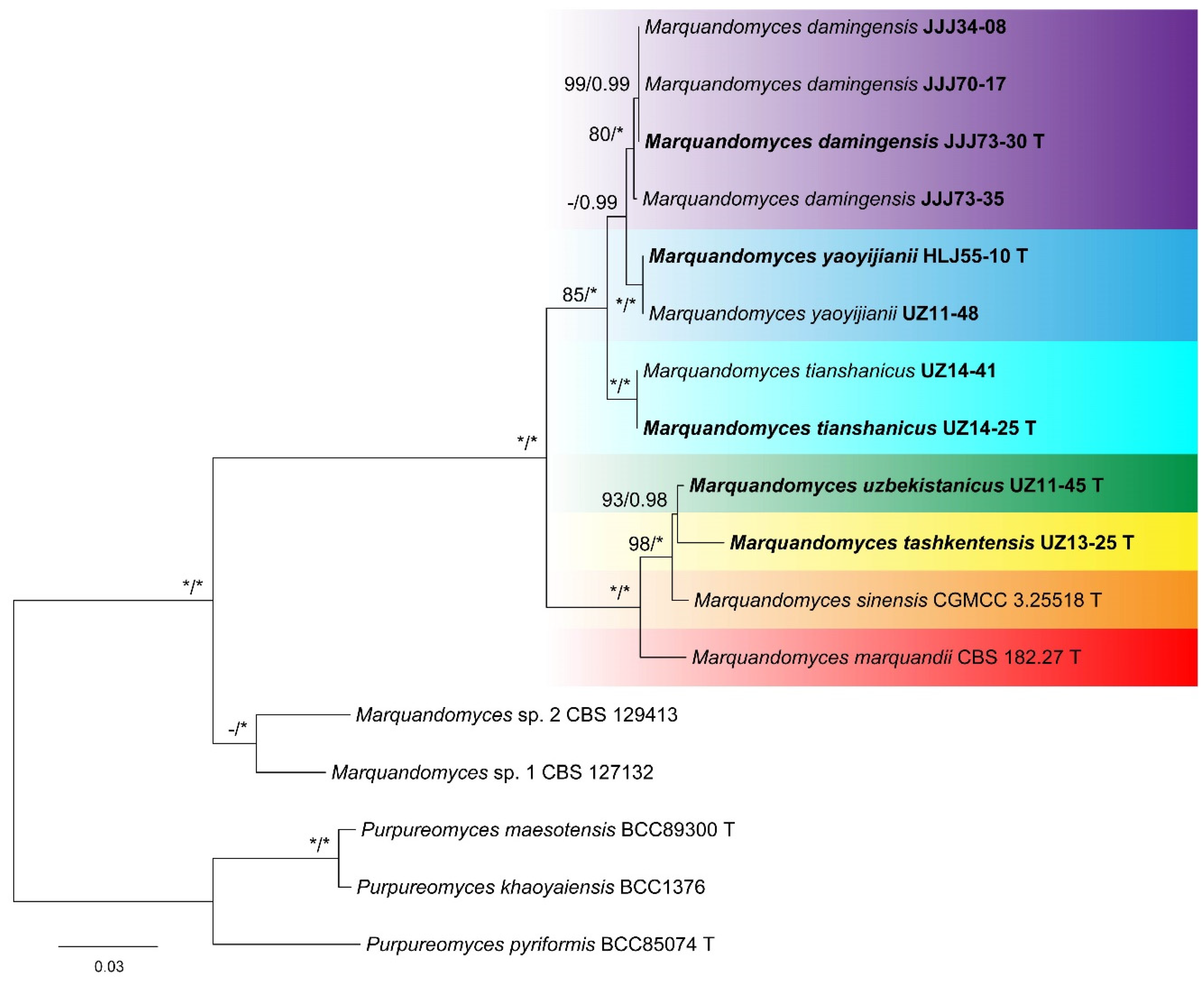 Jof 11 00180 g001 Jof 11 00180 g001