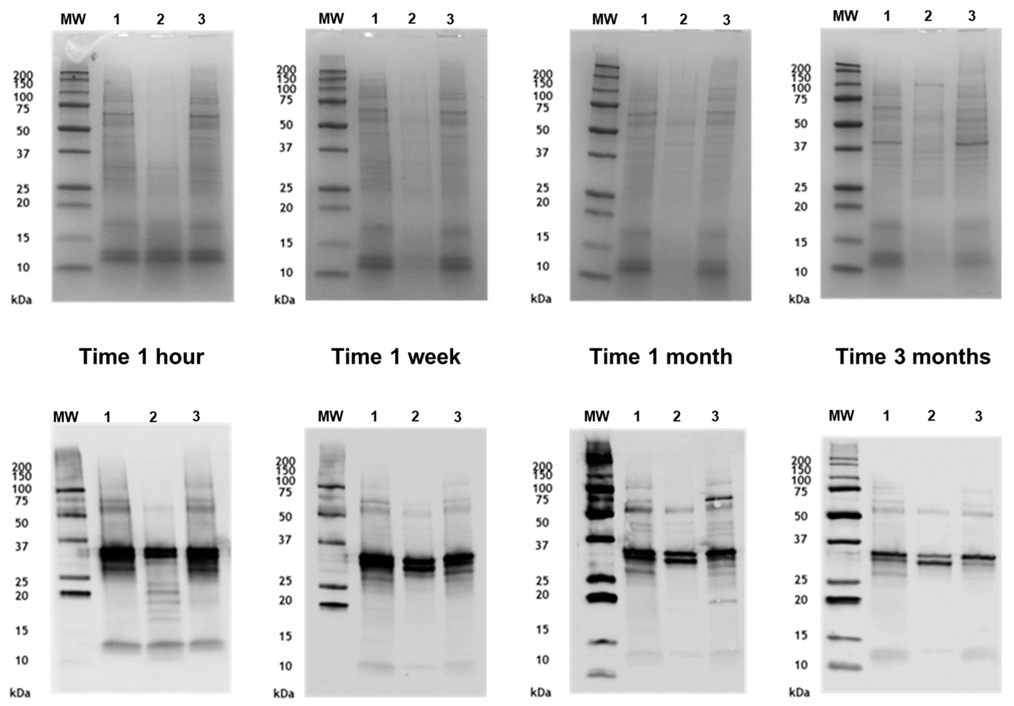 Jof 11 00181 g004 Jof 11 00181 g004