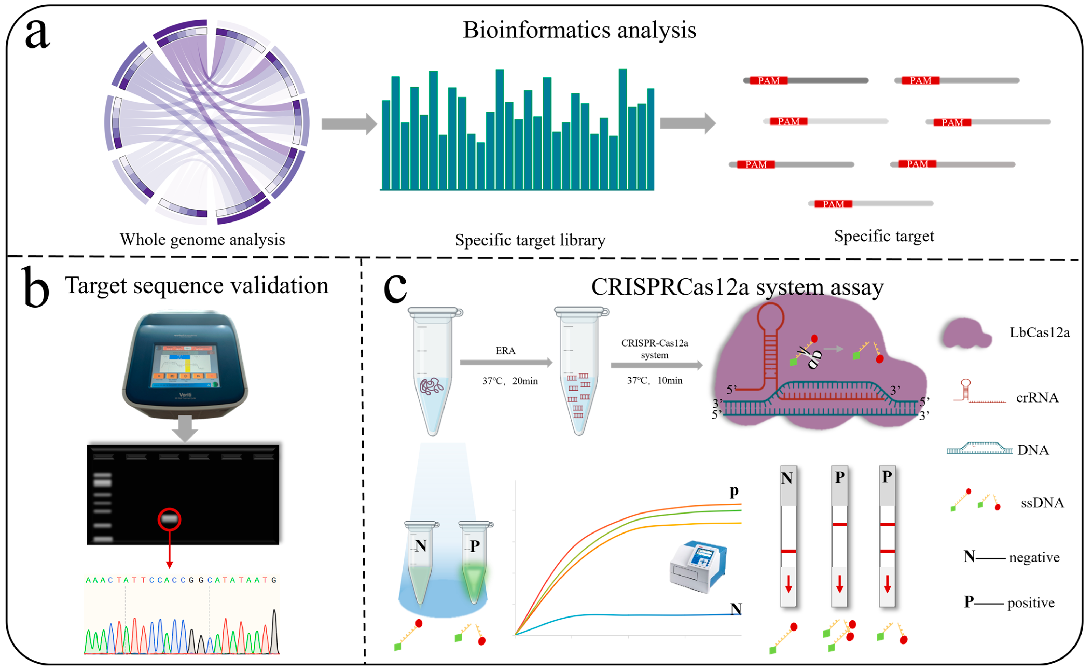 Jof 11 00185 g001 Jof 11 00185 g001
