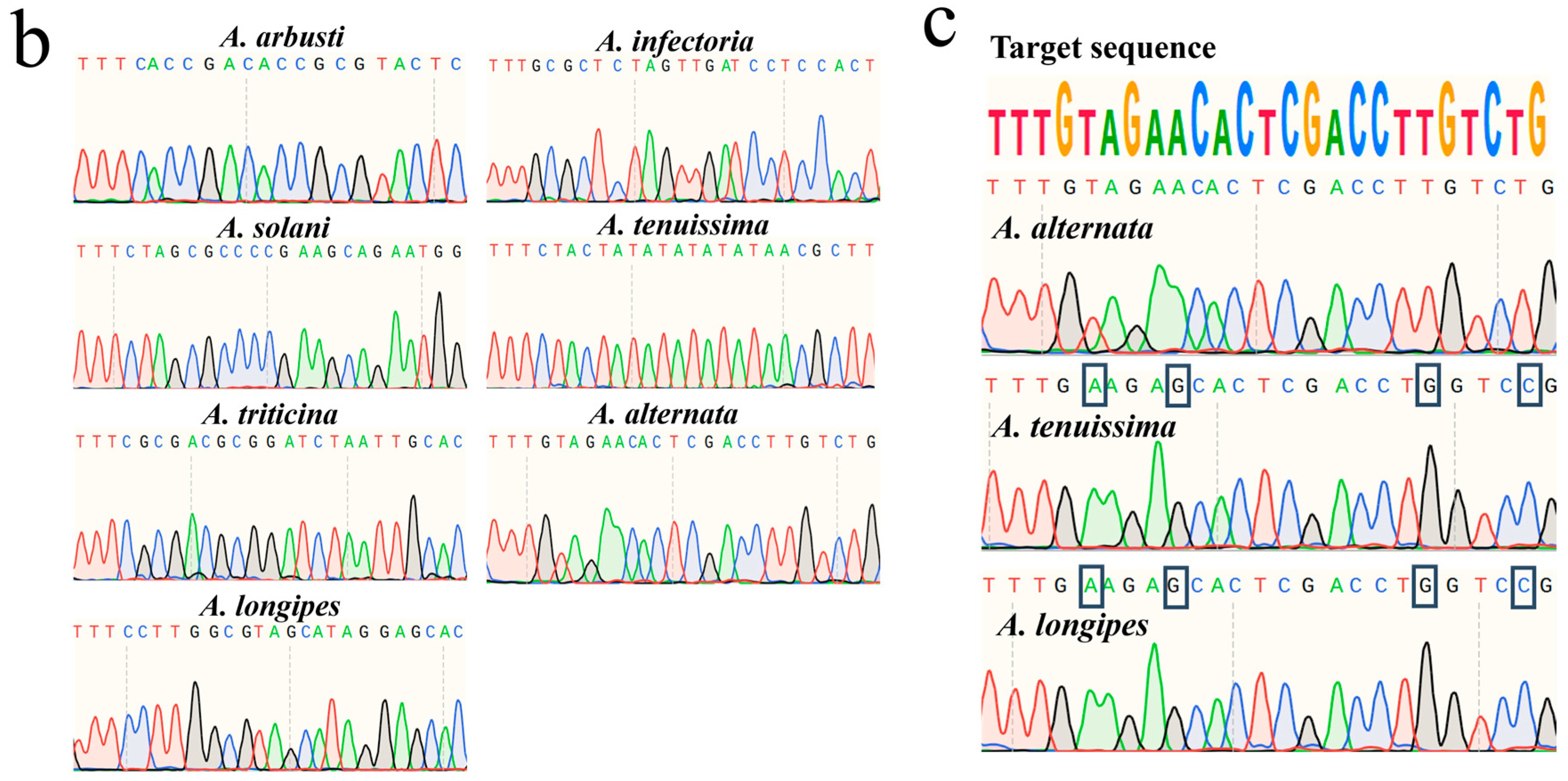 Jof 11 00185 g003b Jof 11 00185 g003b