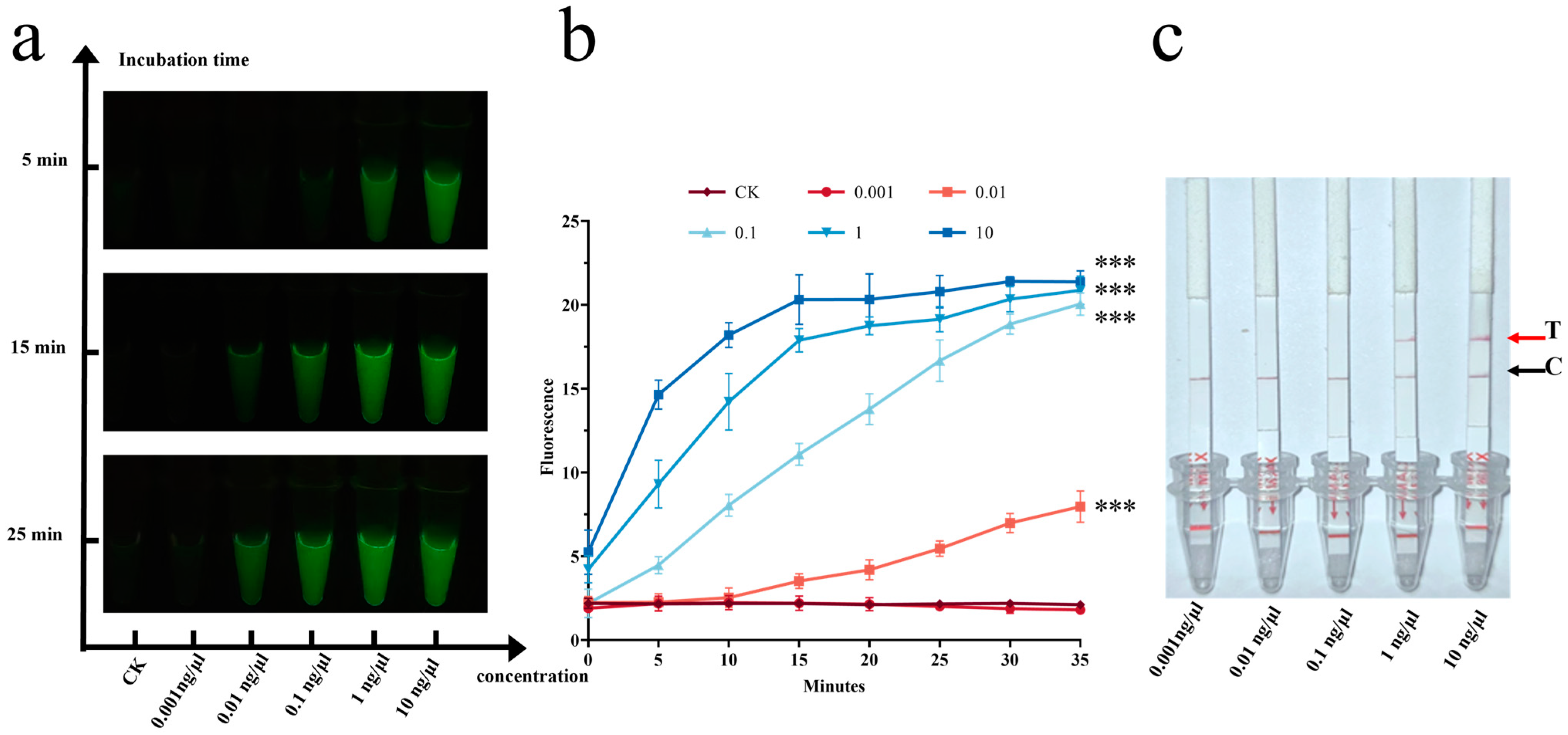 Jof 11 00185 g004 Jof 11 00185 g004