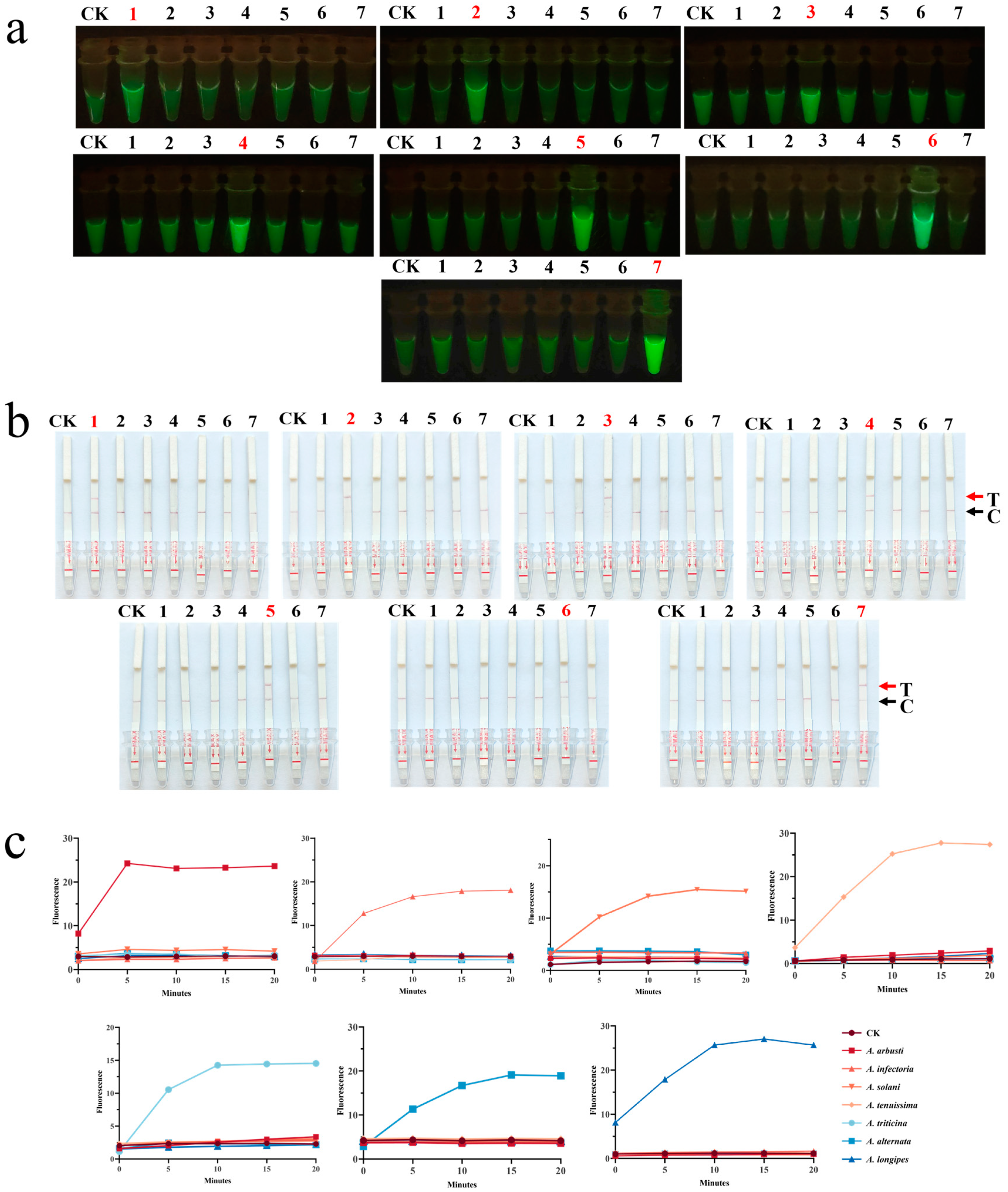 Jof 11 00185 g005 Jof 11 00185 g005