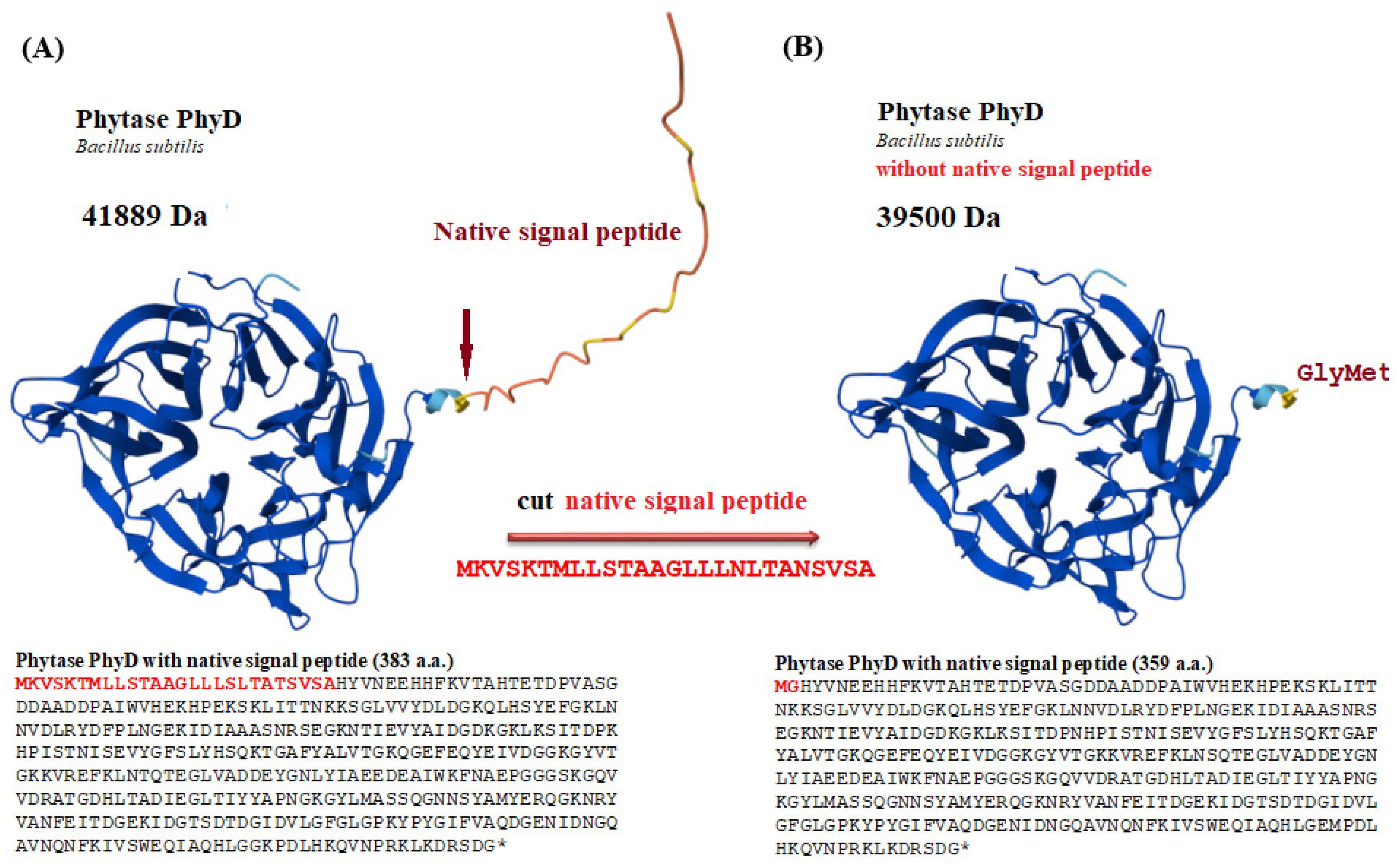 Jof 11 00186 g003 Jof 11 00186 g003