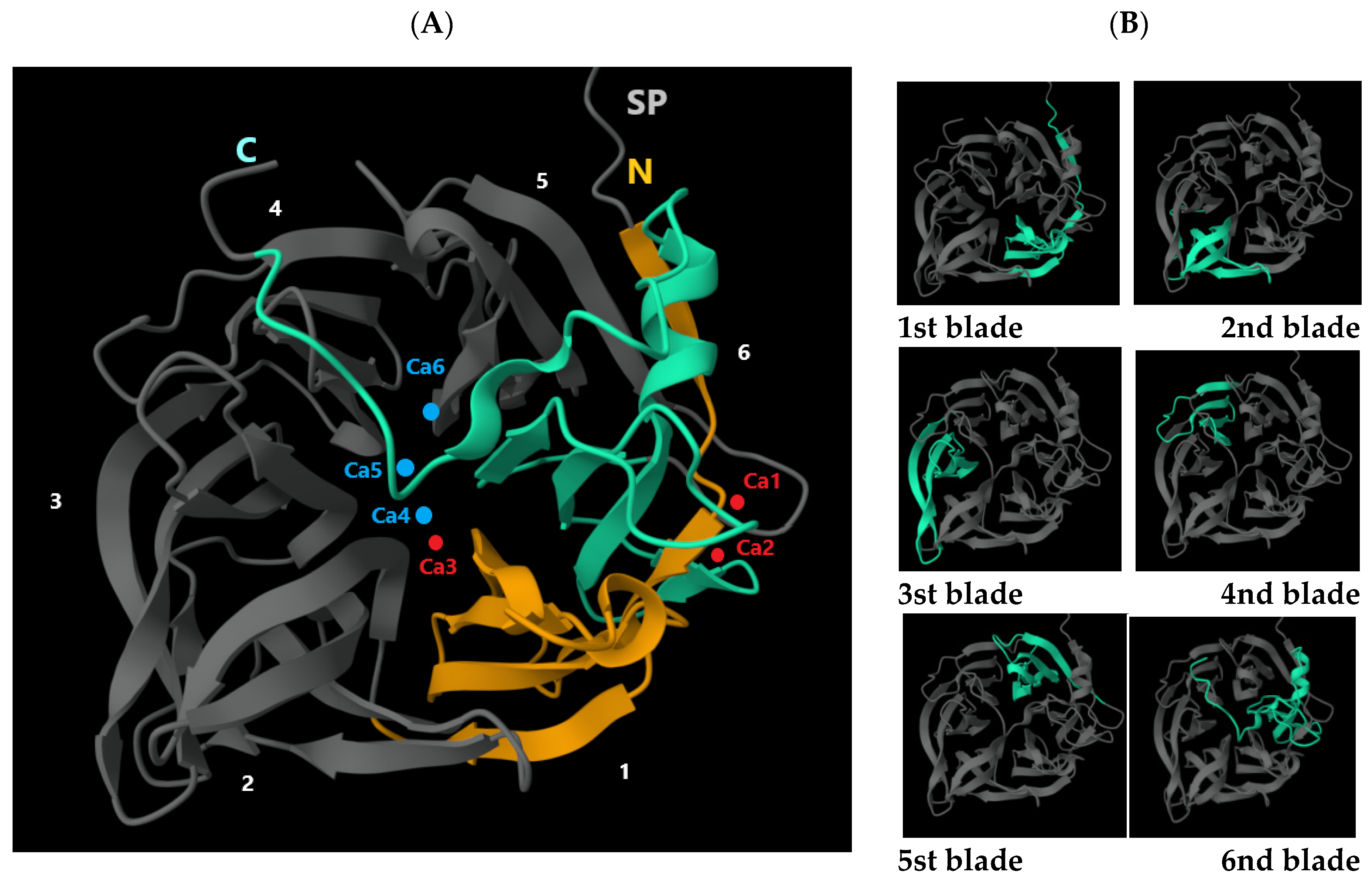Jof 11 00186 g006 Jof 11 00186 g006
