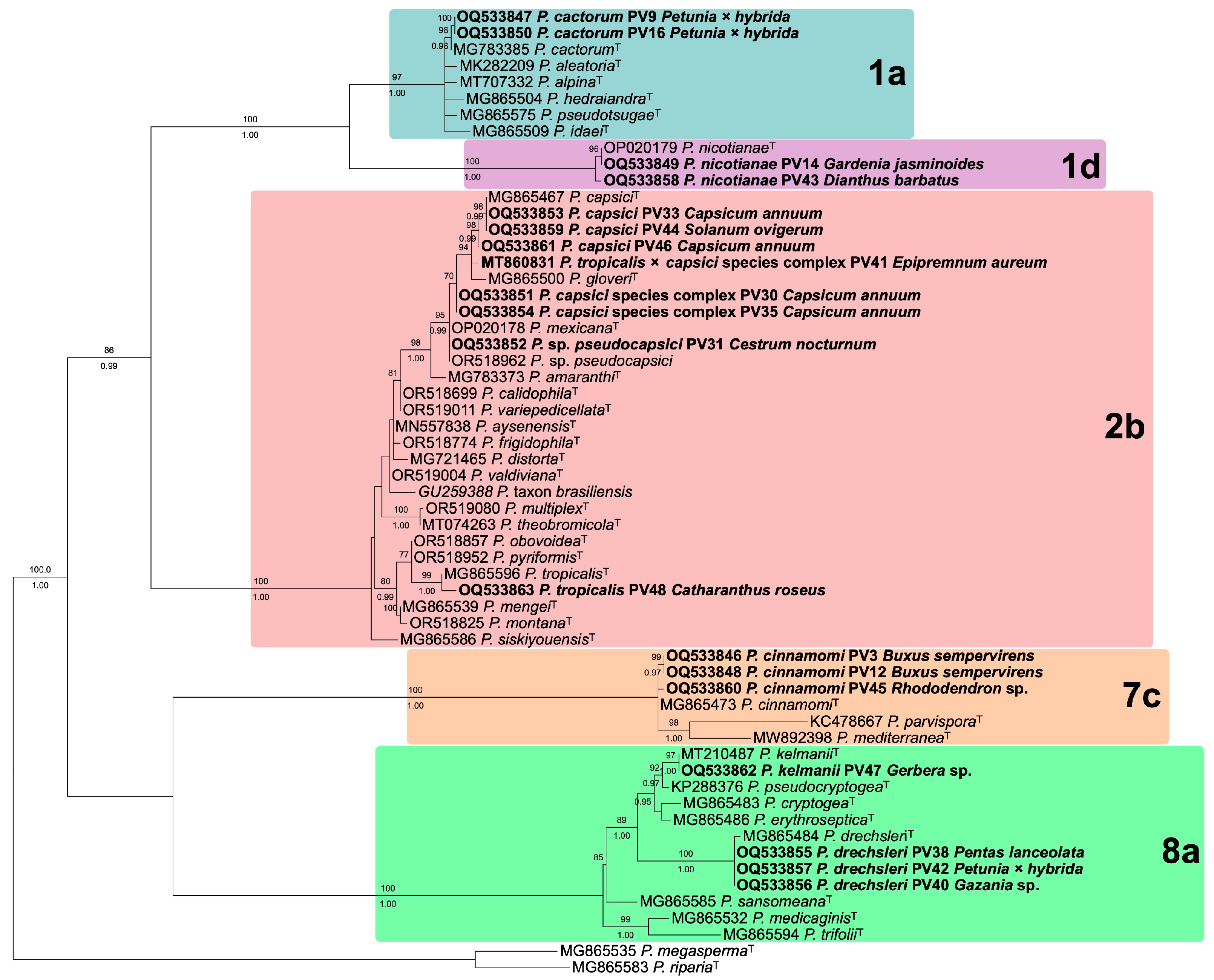 Jof 11 00187 g002 Jof 11 00187 g002