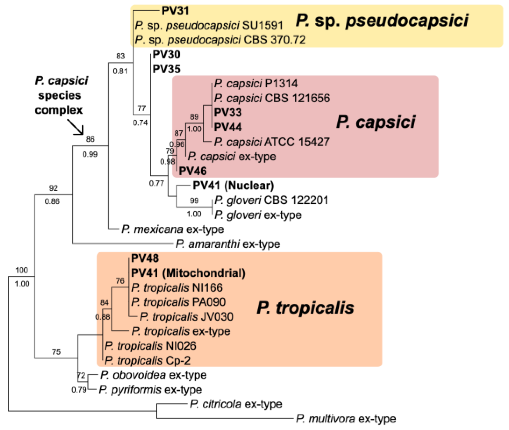 Jof 11 00187 g003 Jof 11 00187 g003