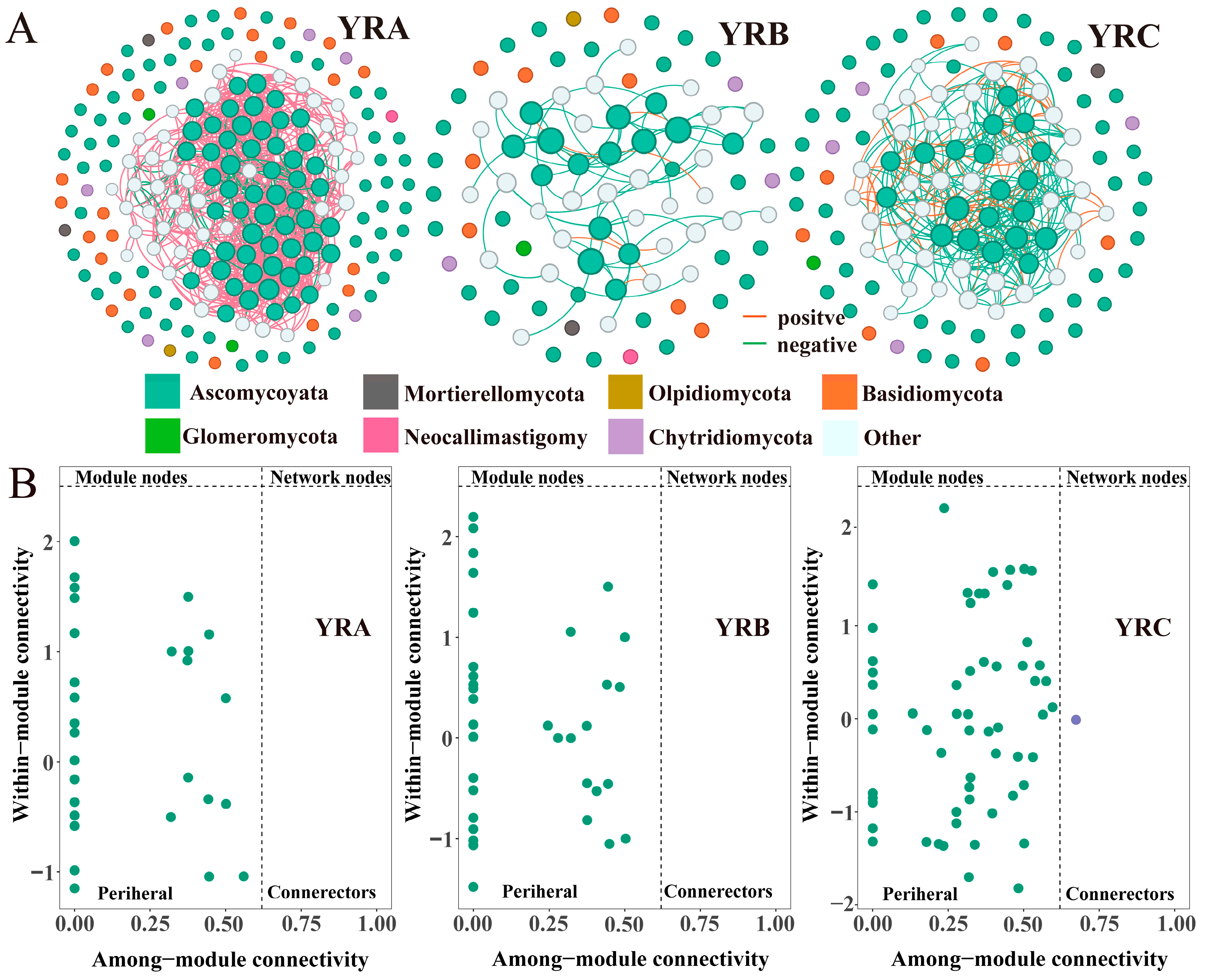 Distribution Pattern and Assembly Process of Fungal