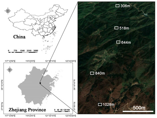 Variation of Arbuscular Mycorrhizal Fungi Communities
