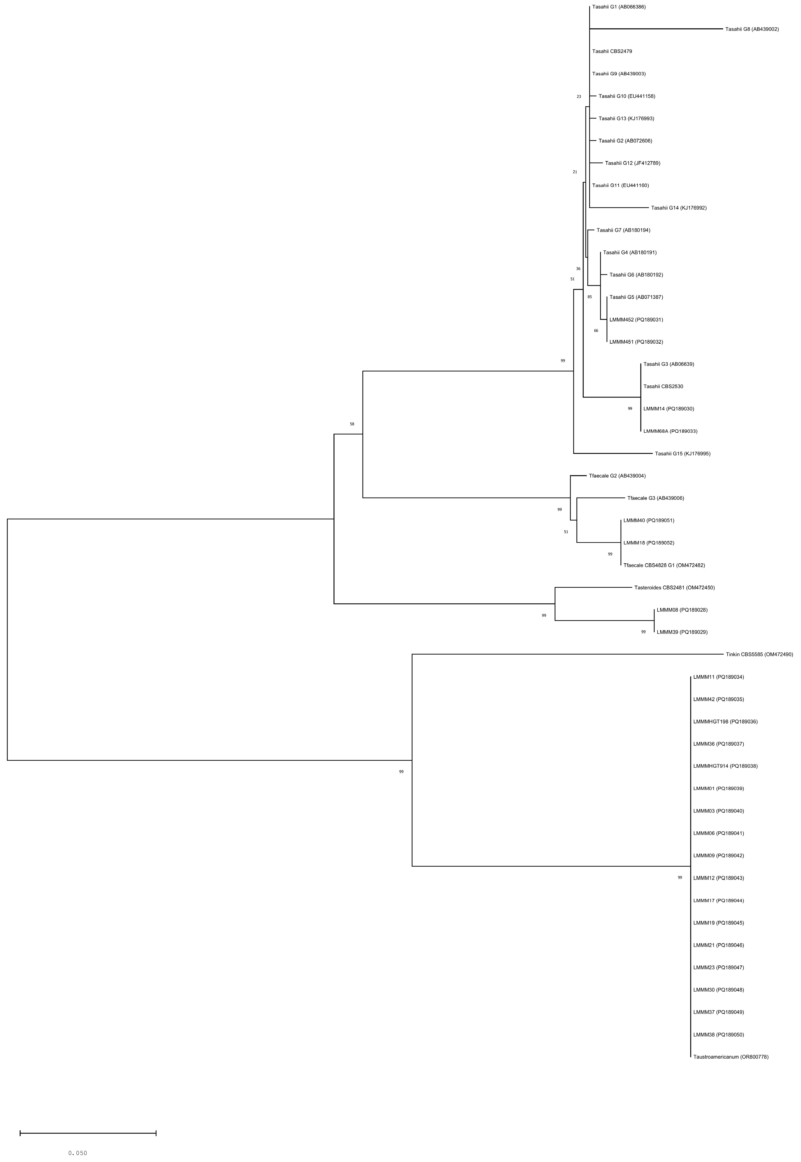 Jof 11 00255 g001 Jof 11 00255 g001