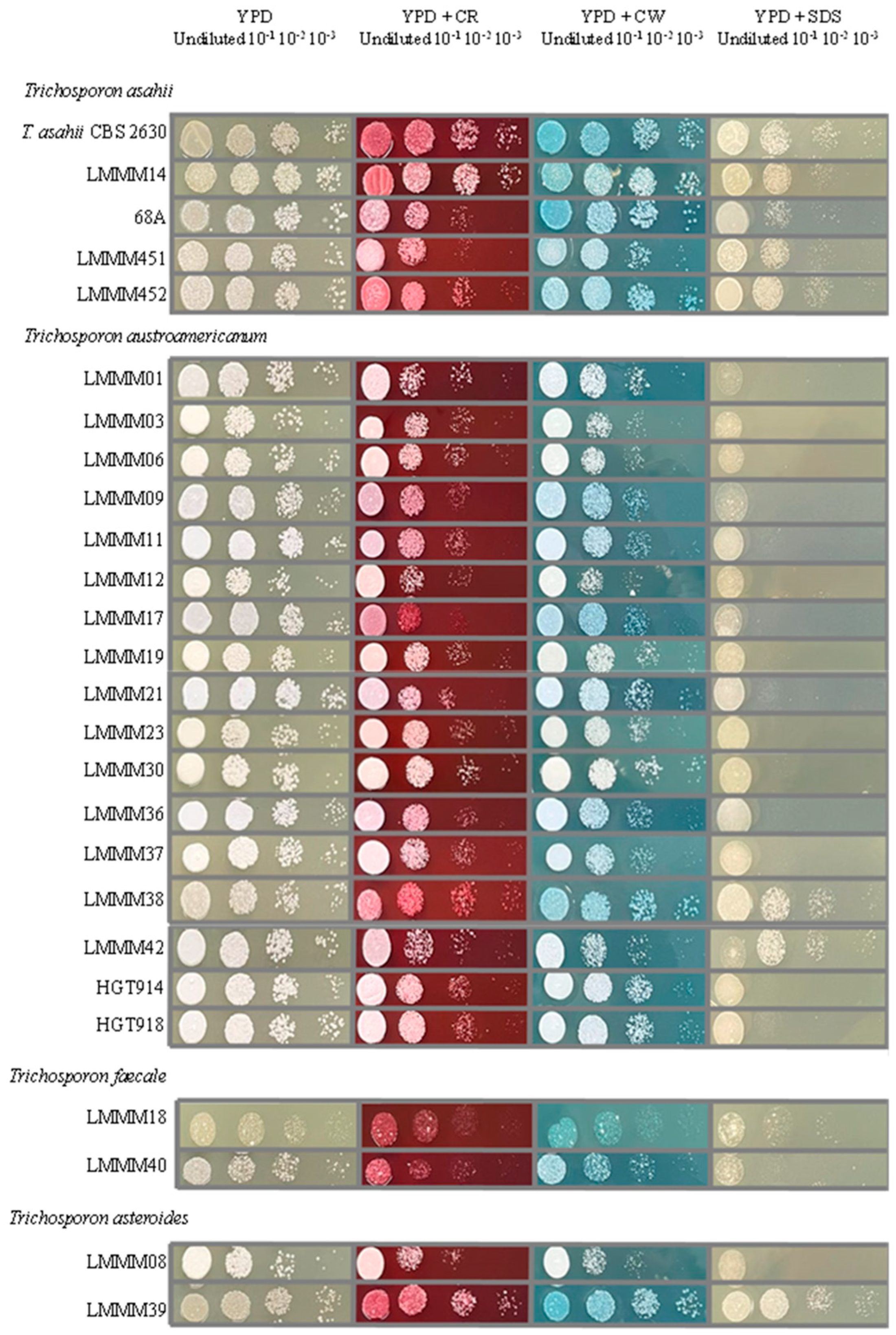 Jof 11 00255 g003 Jof 11 00255 g003