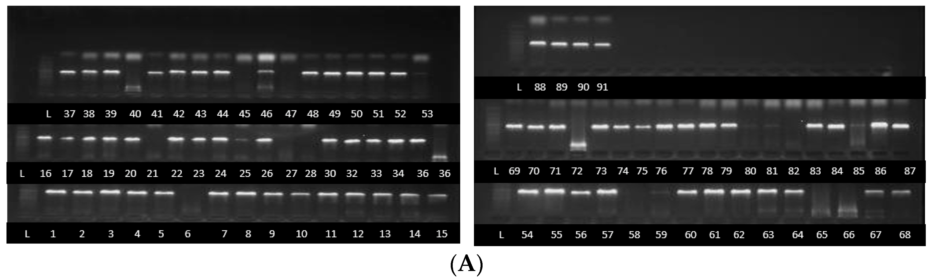 Jof 11 00283 g001a Jof 11 00283 g001a