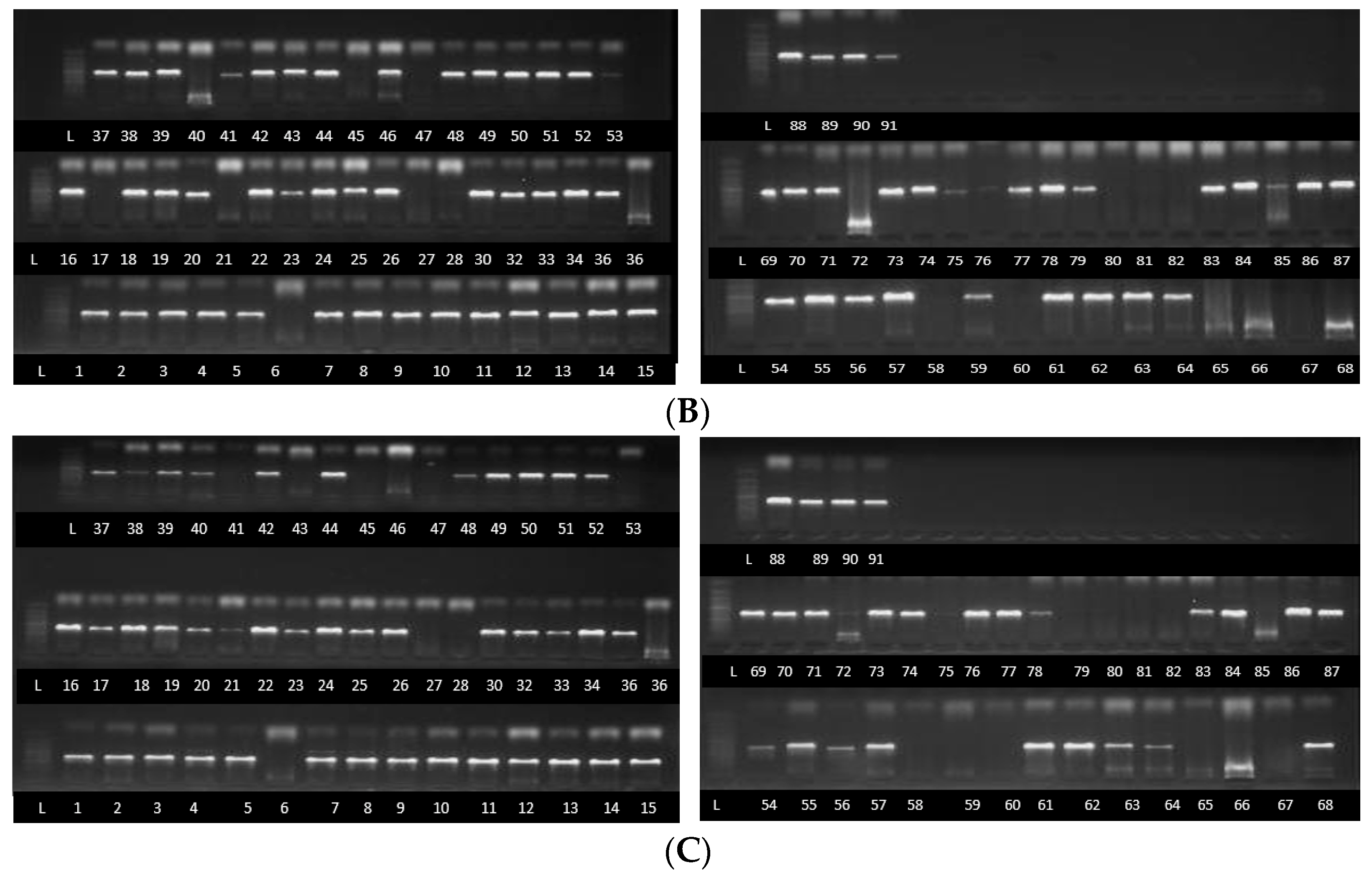 Jof 11 00283 g001b Jof 11 00283 g001b
