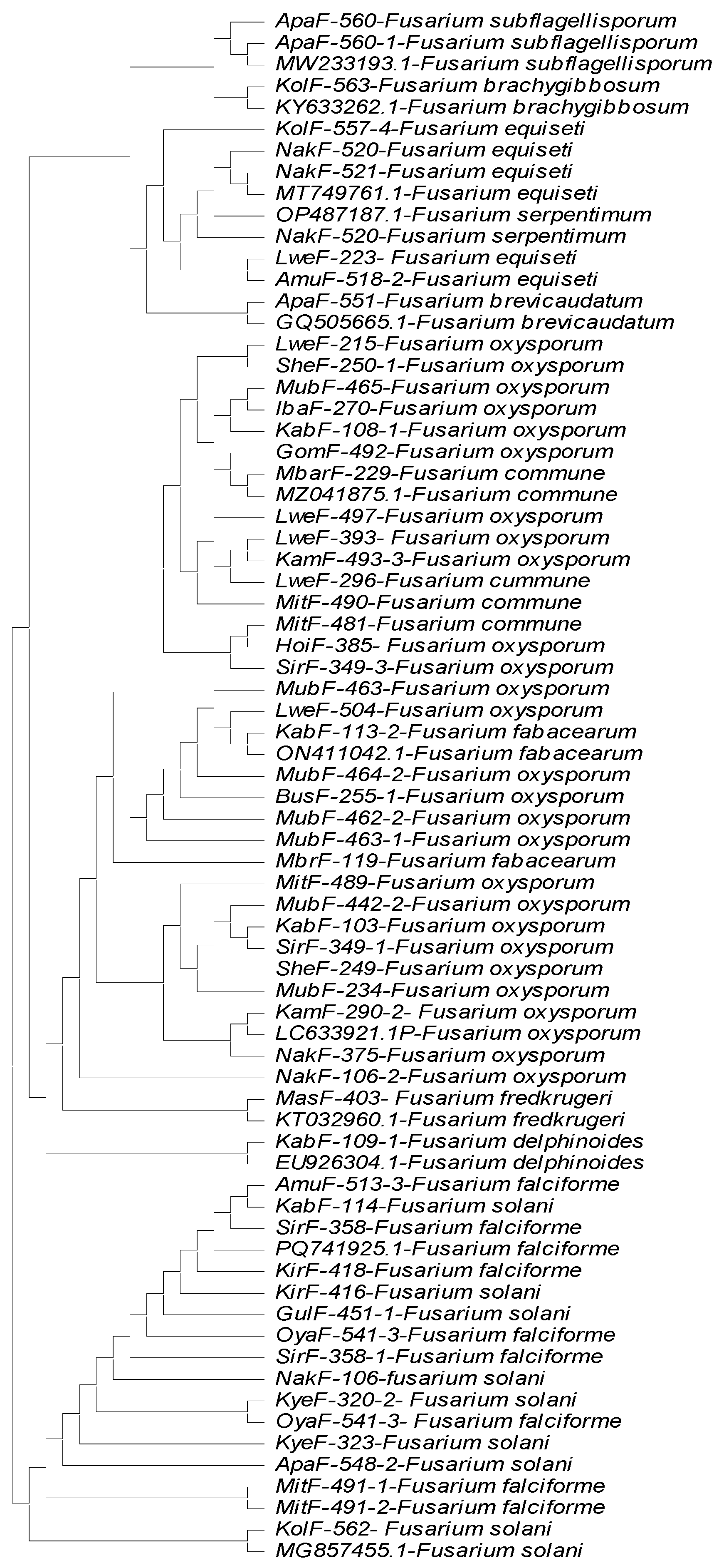 Jof 11 00283 g002 Jof 11 00283 g002