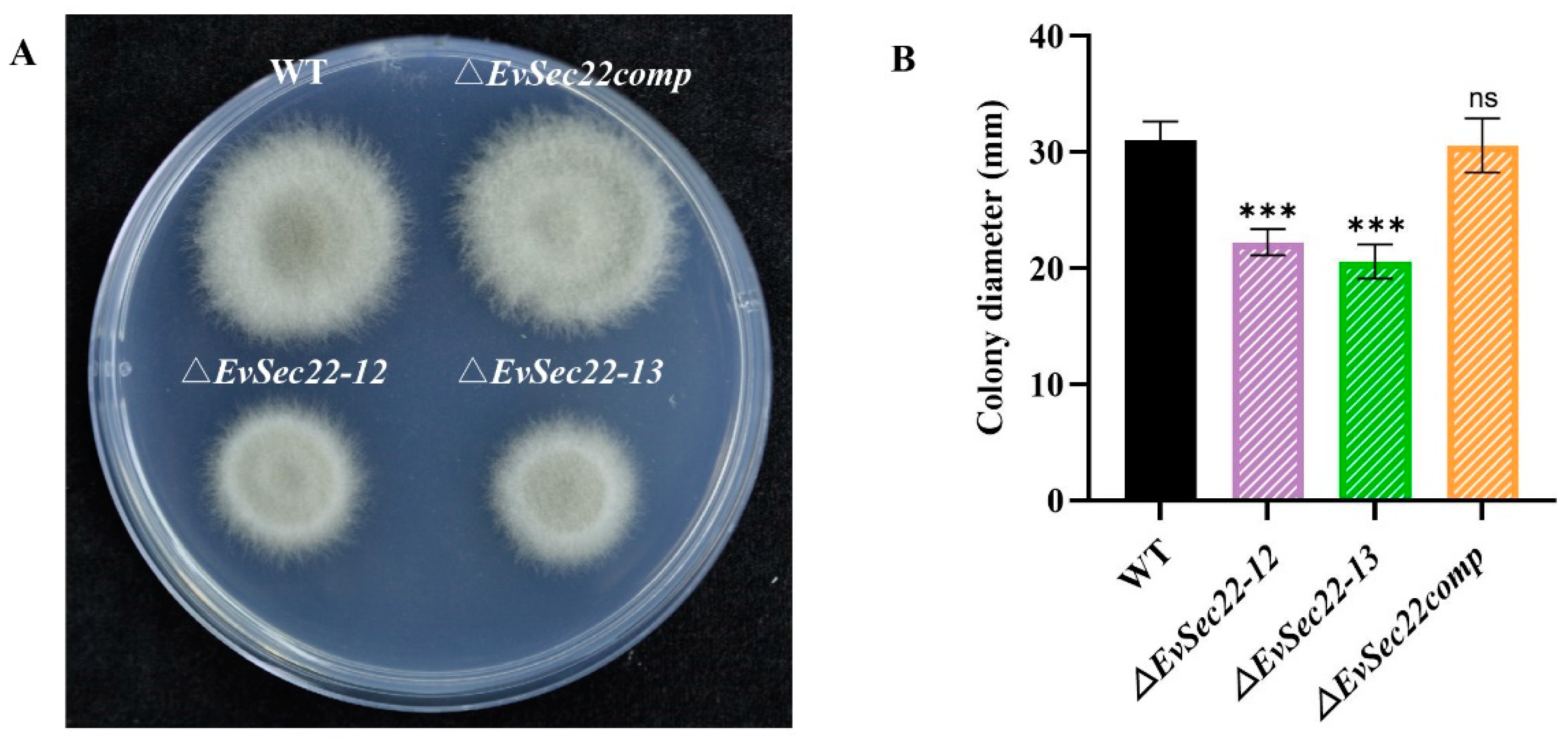 Jof 11 00295 g004 Jof 11 00295 g004