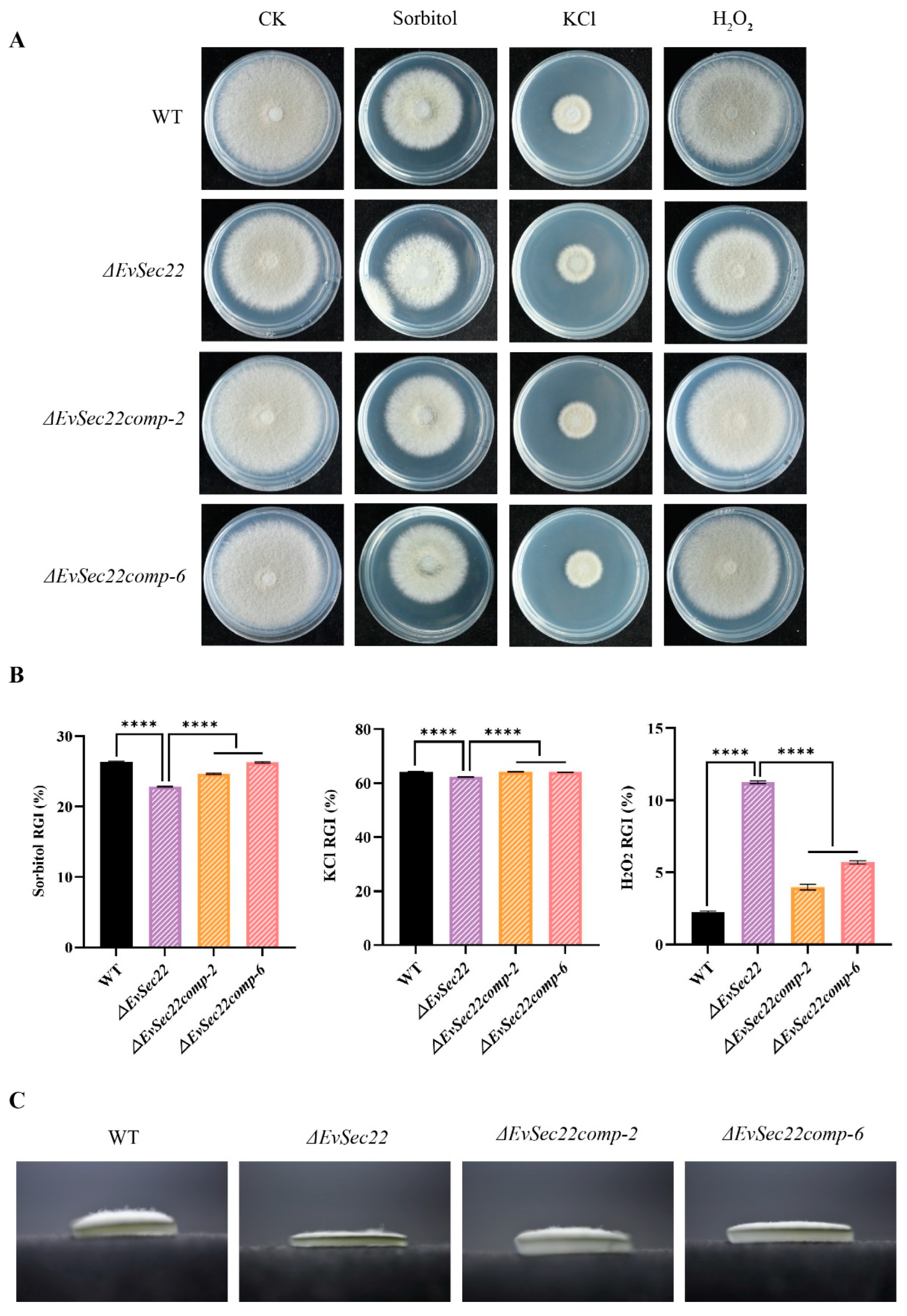 Jof 11 00295 g006 Jof 11 00295 g006