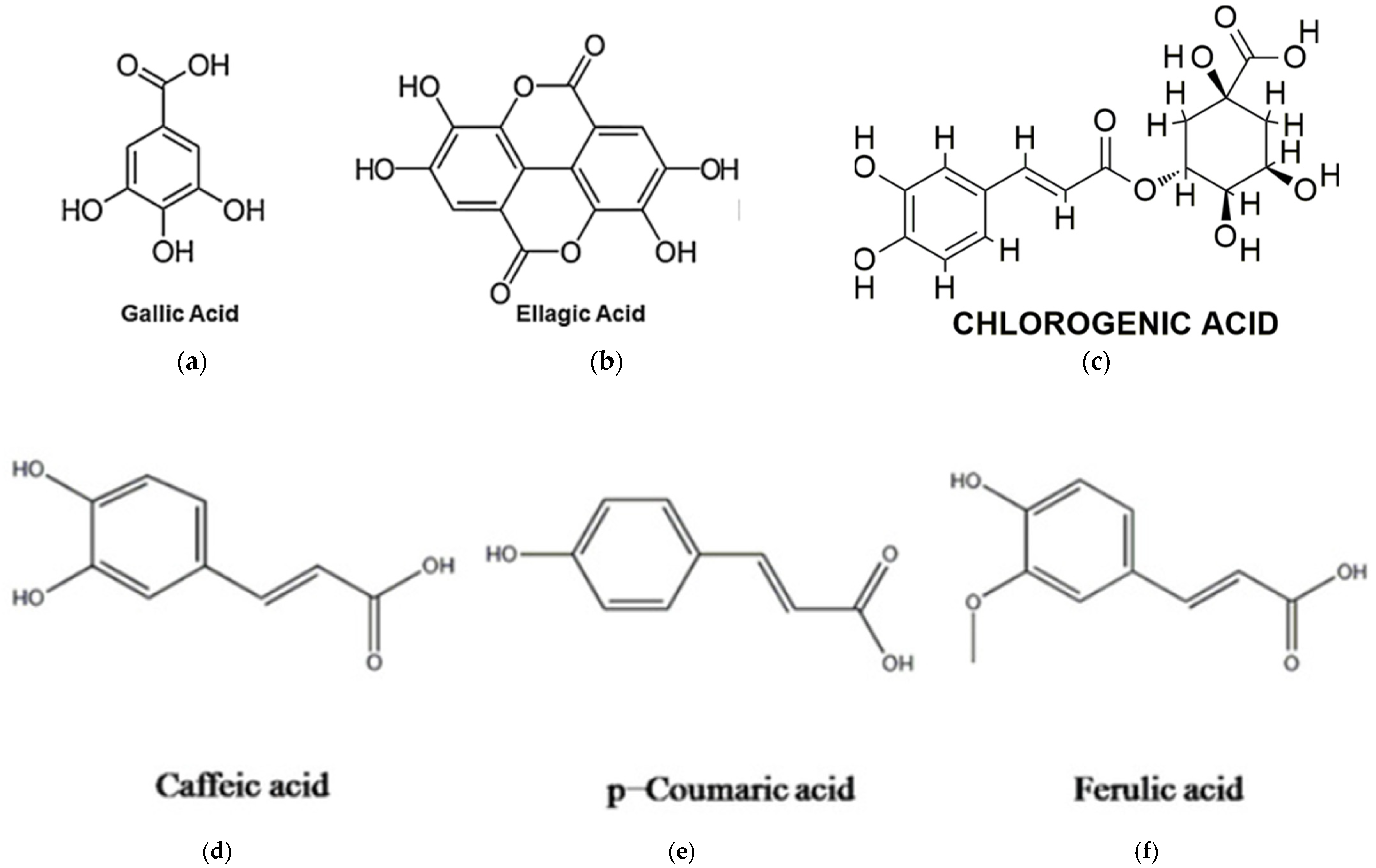 Jof 11 00328 g003 Jof 11 00328 g003