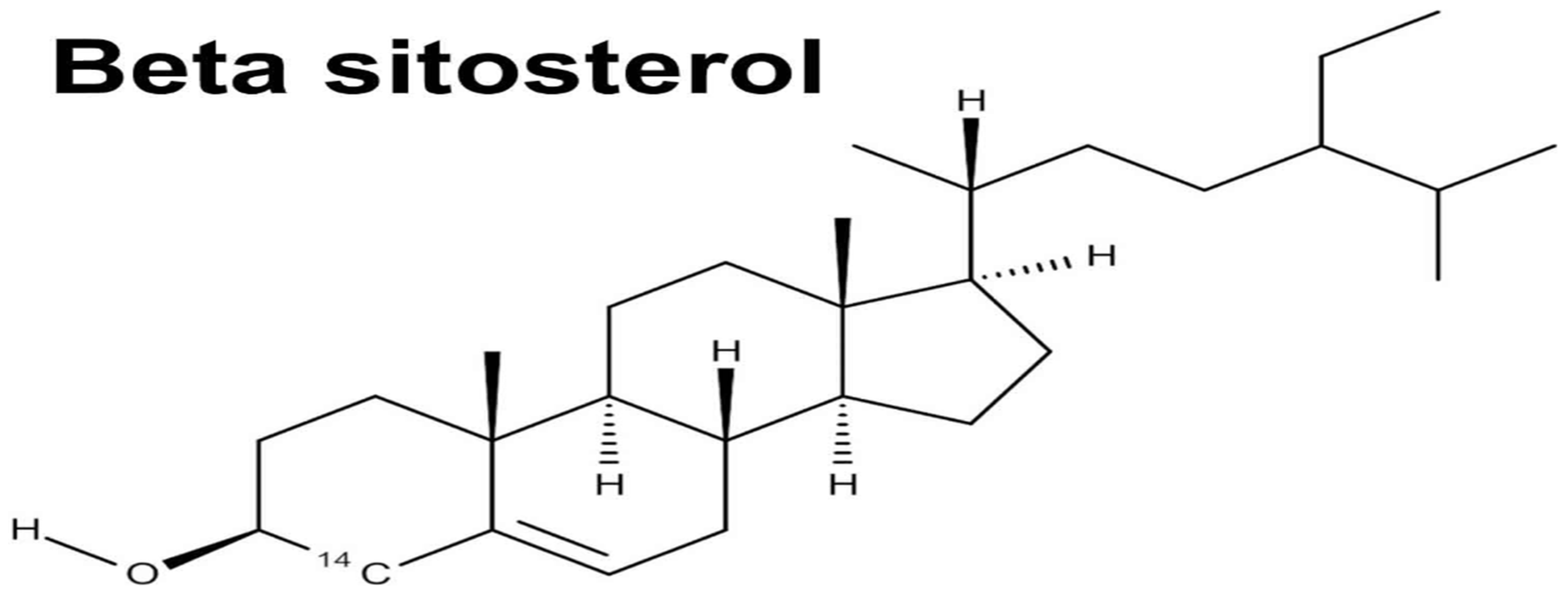 Jof 11 00328 g007 Jof 11 00328 g007