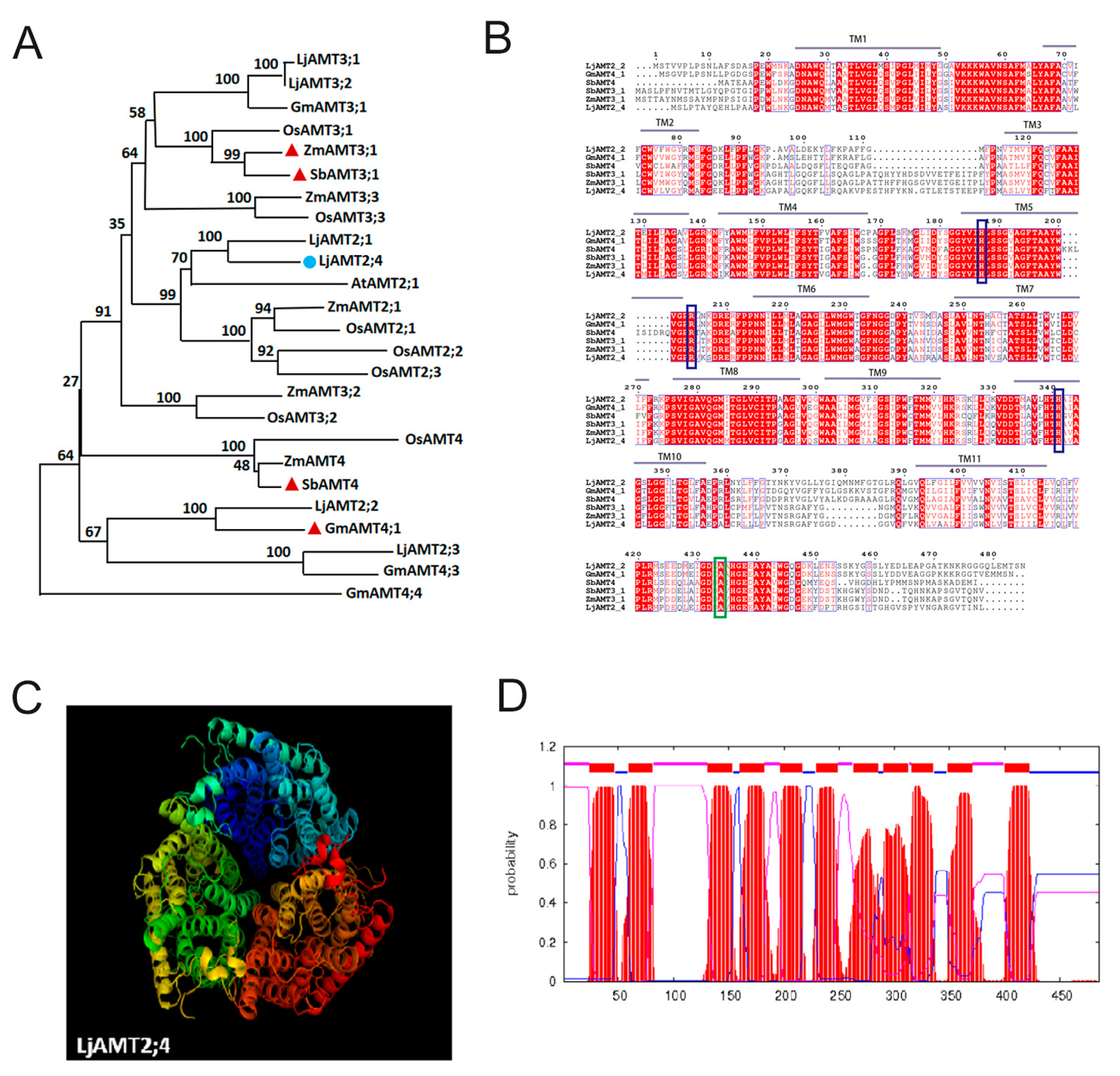 Jof 11 00340 g001 Jof 11 00340 g001