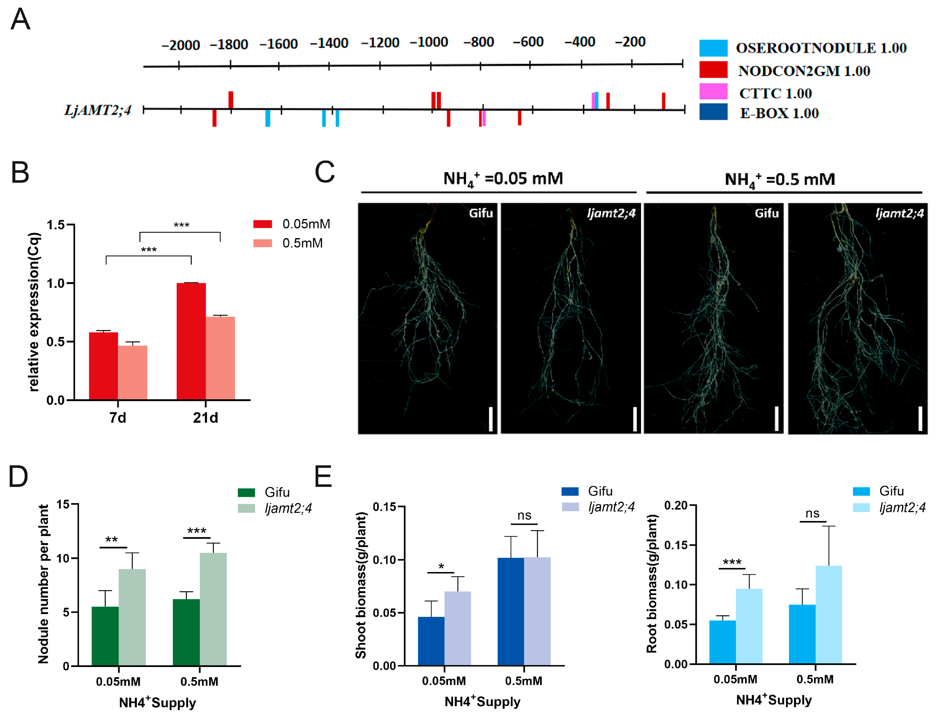 Jof 11 00340 g006 Jof 11 00340 g006