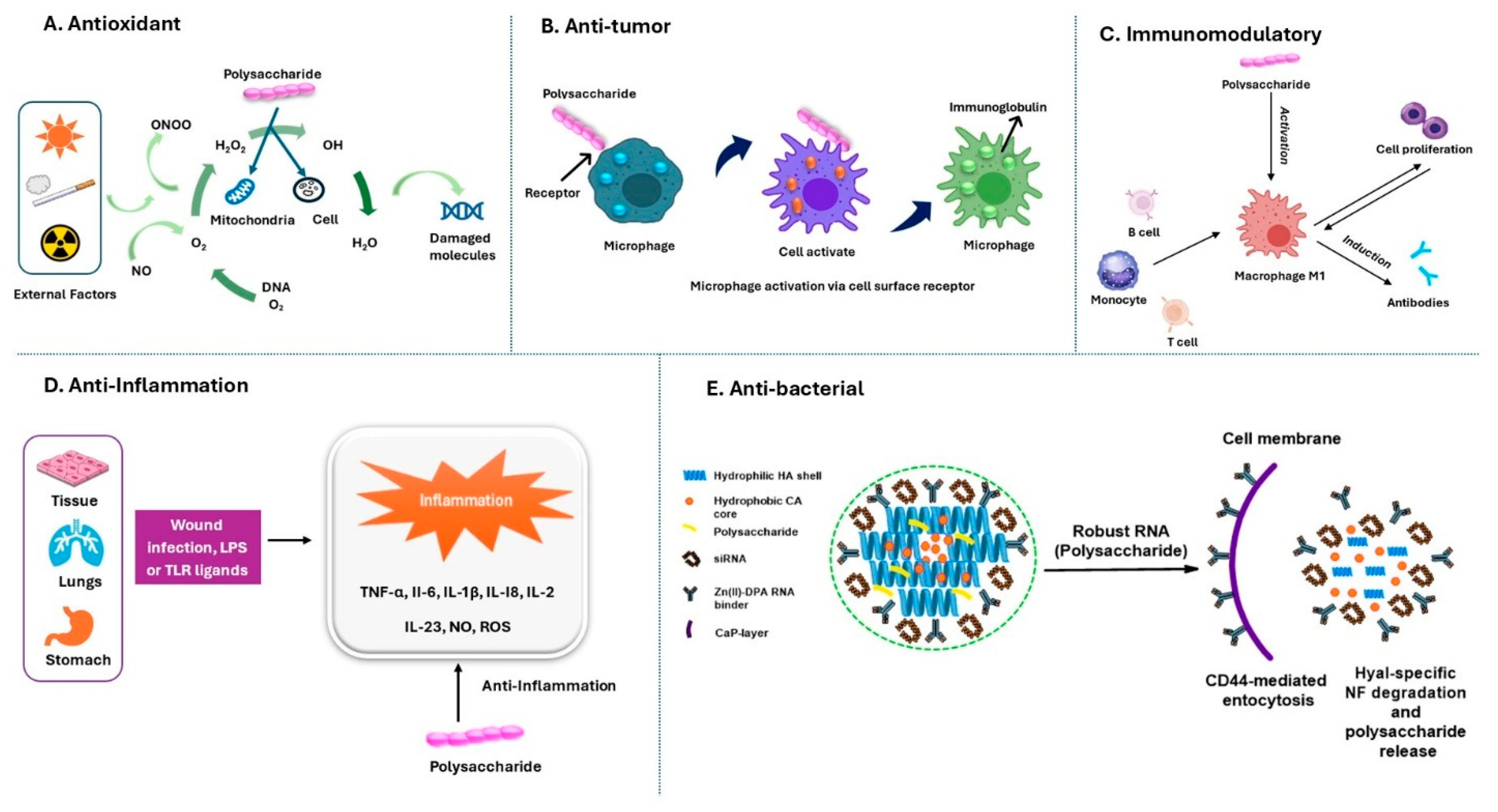 Jof 11 00341 g002 Jof 11 00341 g002