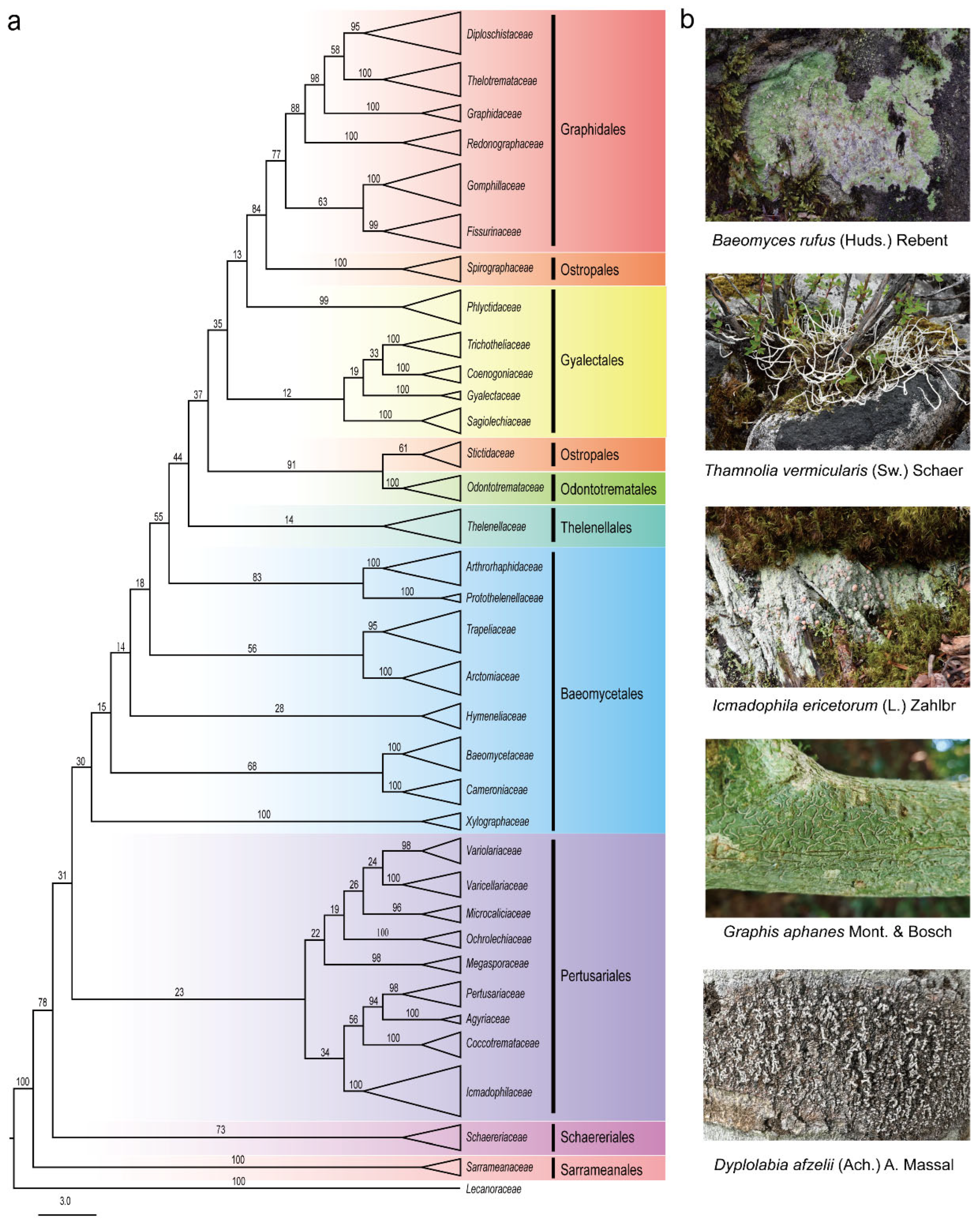 Jof 11 00369 g001 Jof 11 00369 g001