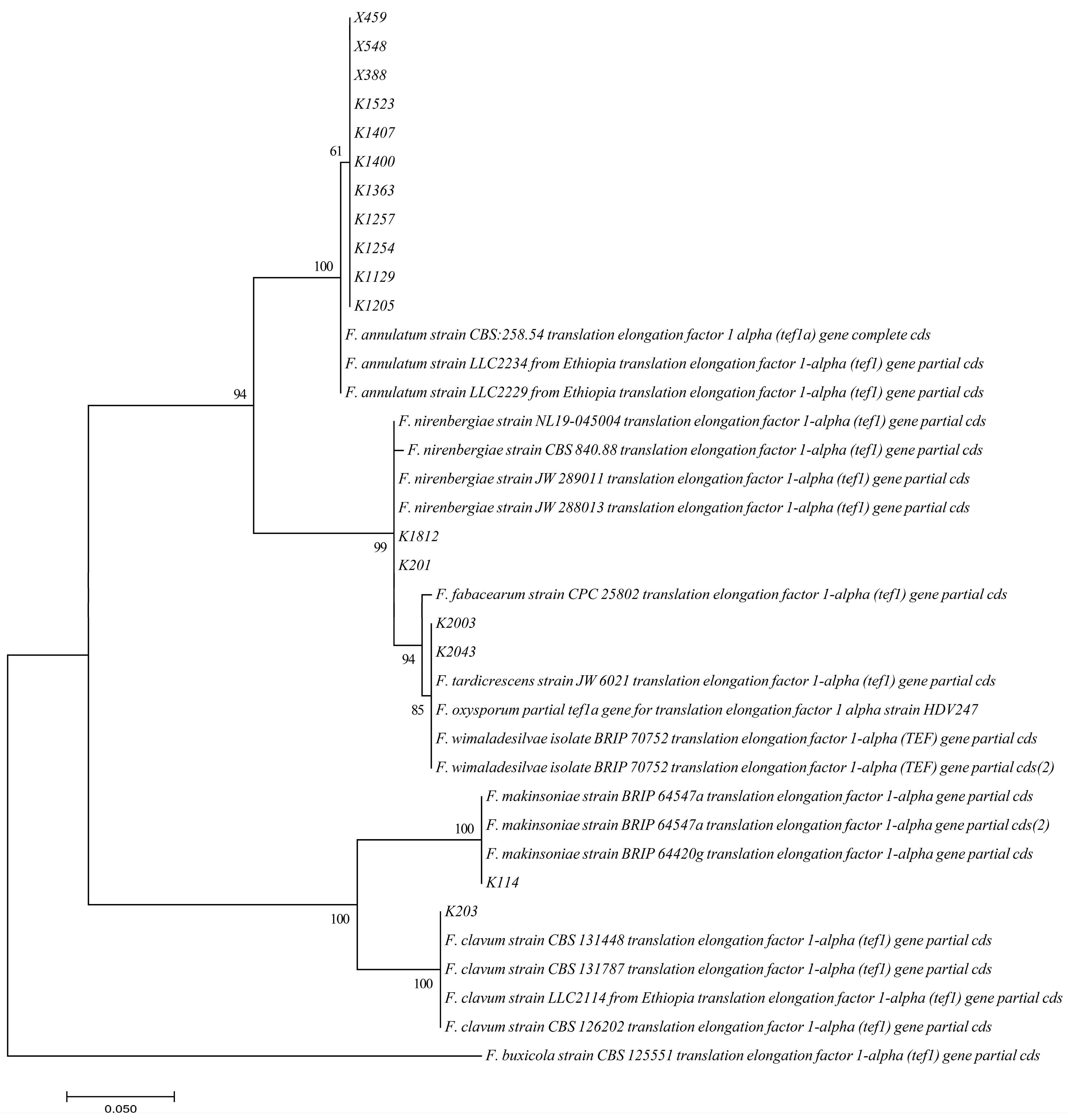 Jof 11 00373 g002 Jof 11 00373 g002