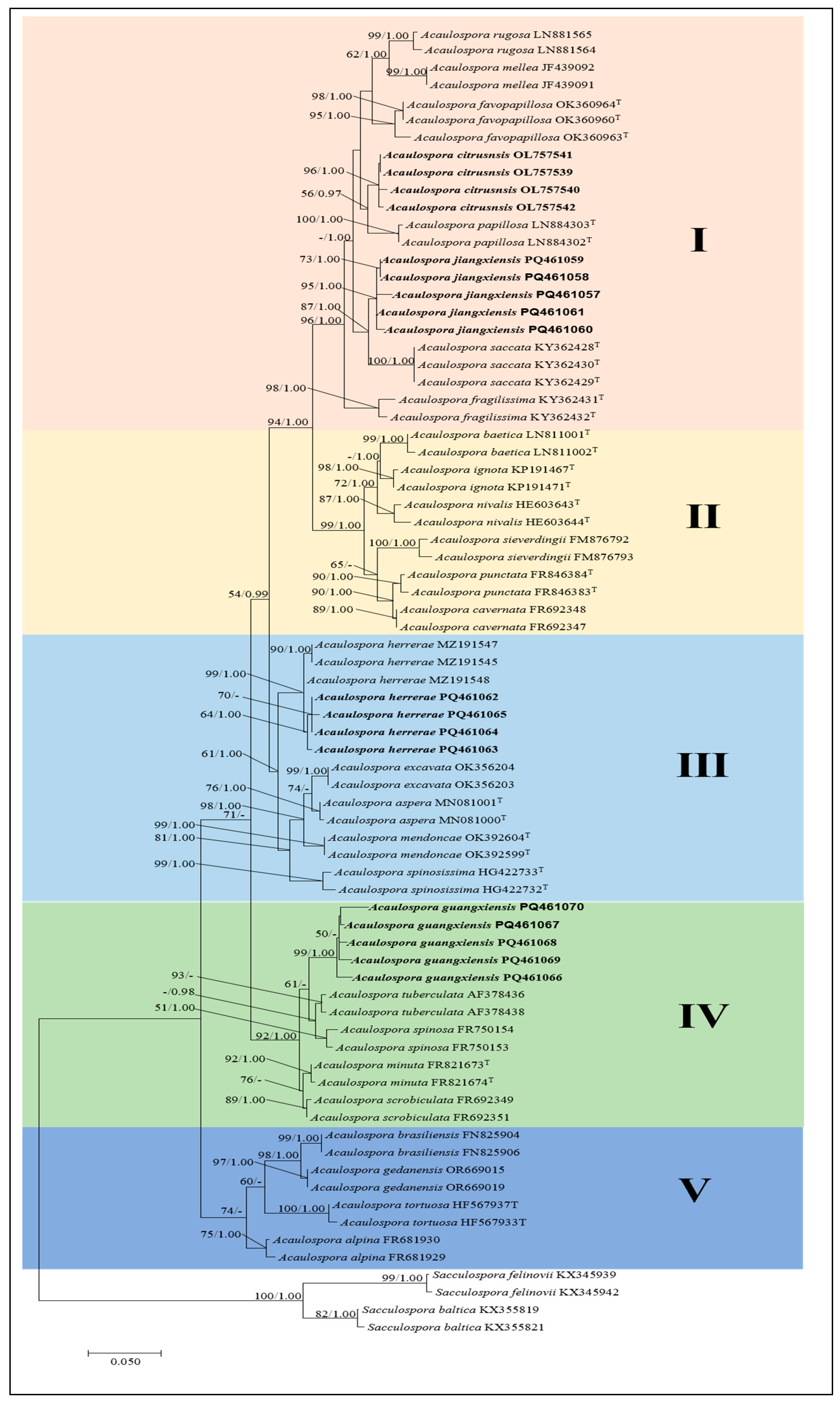 Jof 11 00382 g001 Jof 11 00382 g001