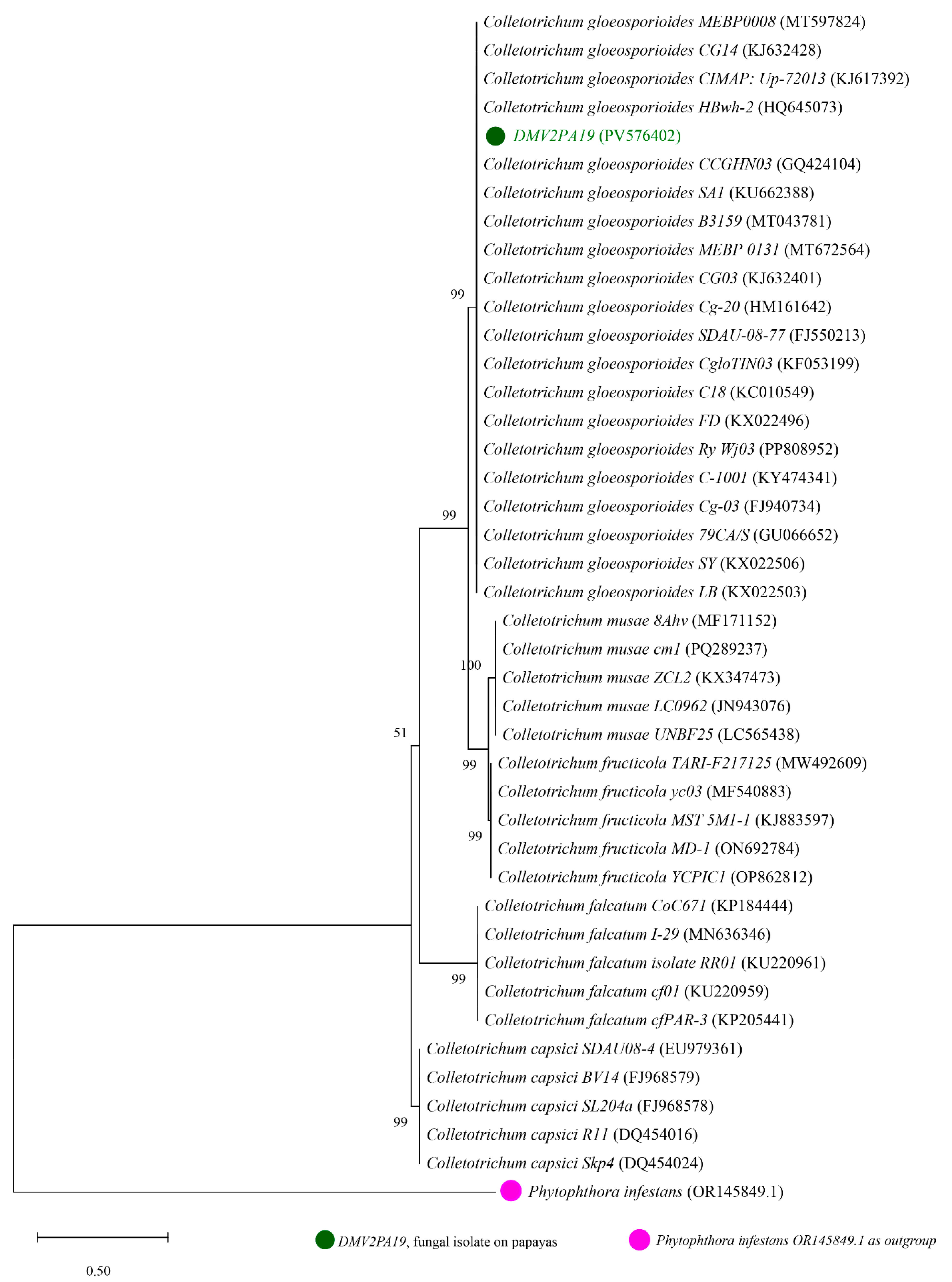 Jof 11 00385 g004 Jof 11 00385 g004