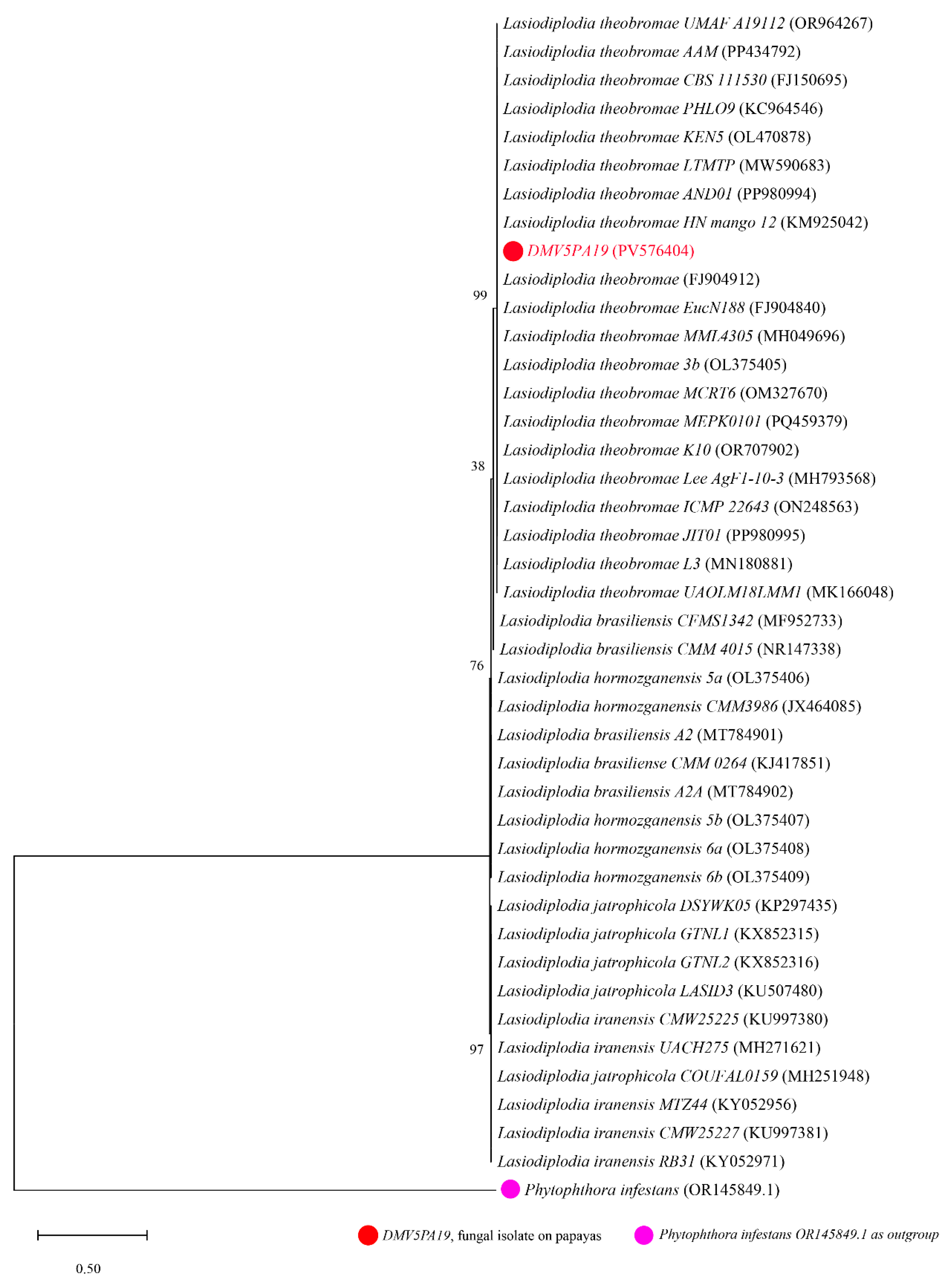Jof 11 00385 g006 Jof 11 00385 g006