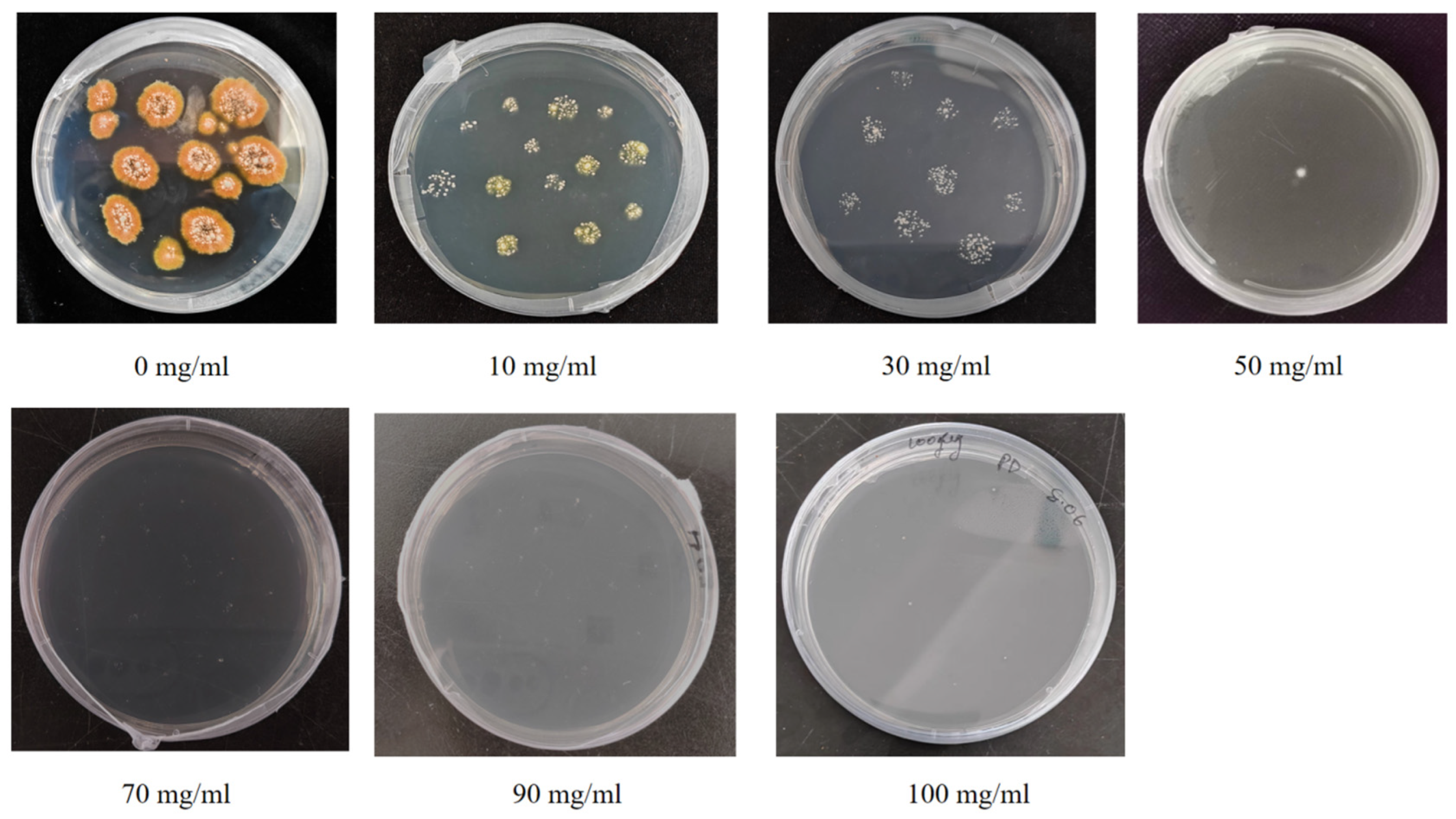 Jof 11 00386 g003 Jof 11 00386 g003