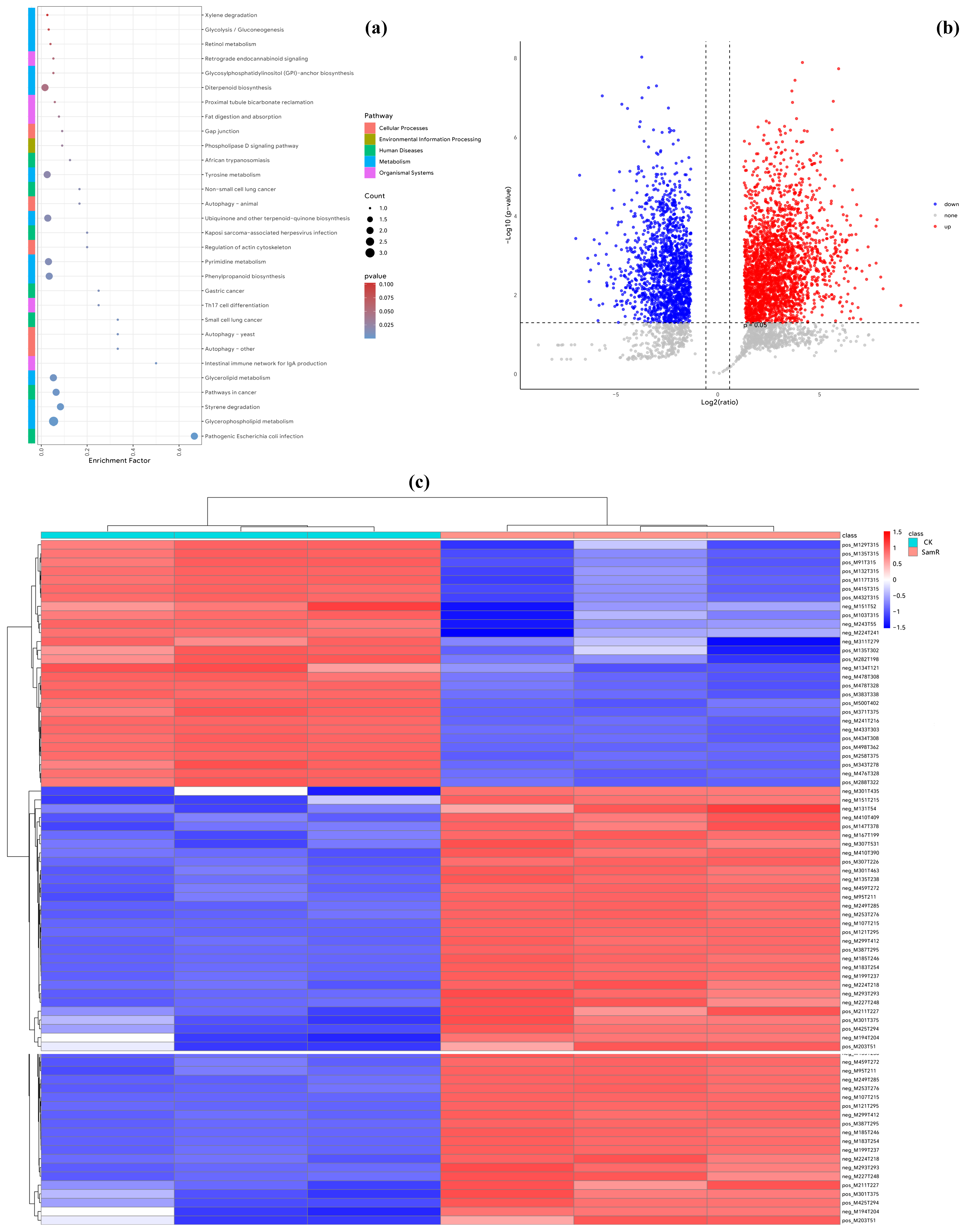 Jof 11 00386 g007 Jof 11 00386 g007