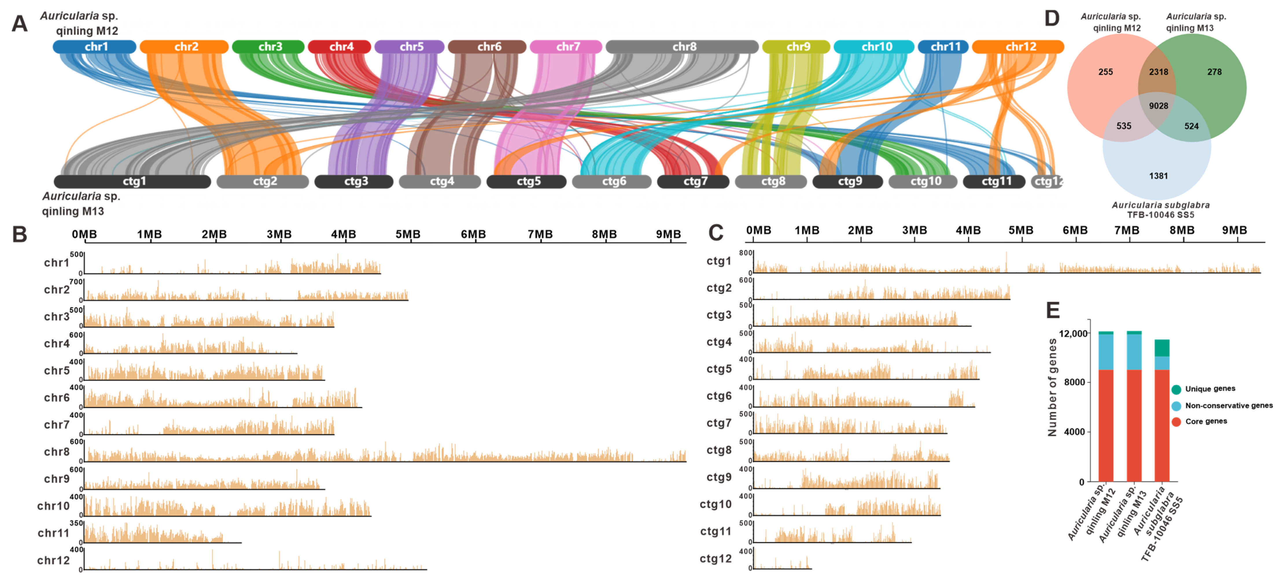 Jof 11 00395 g002 Jof 11 00395 g002