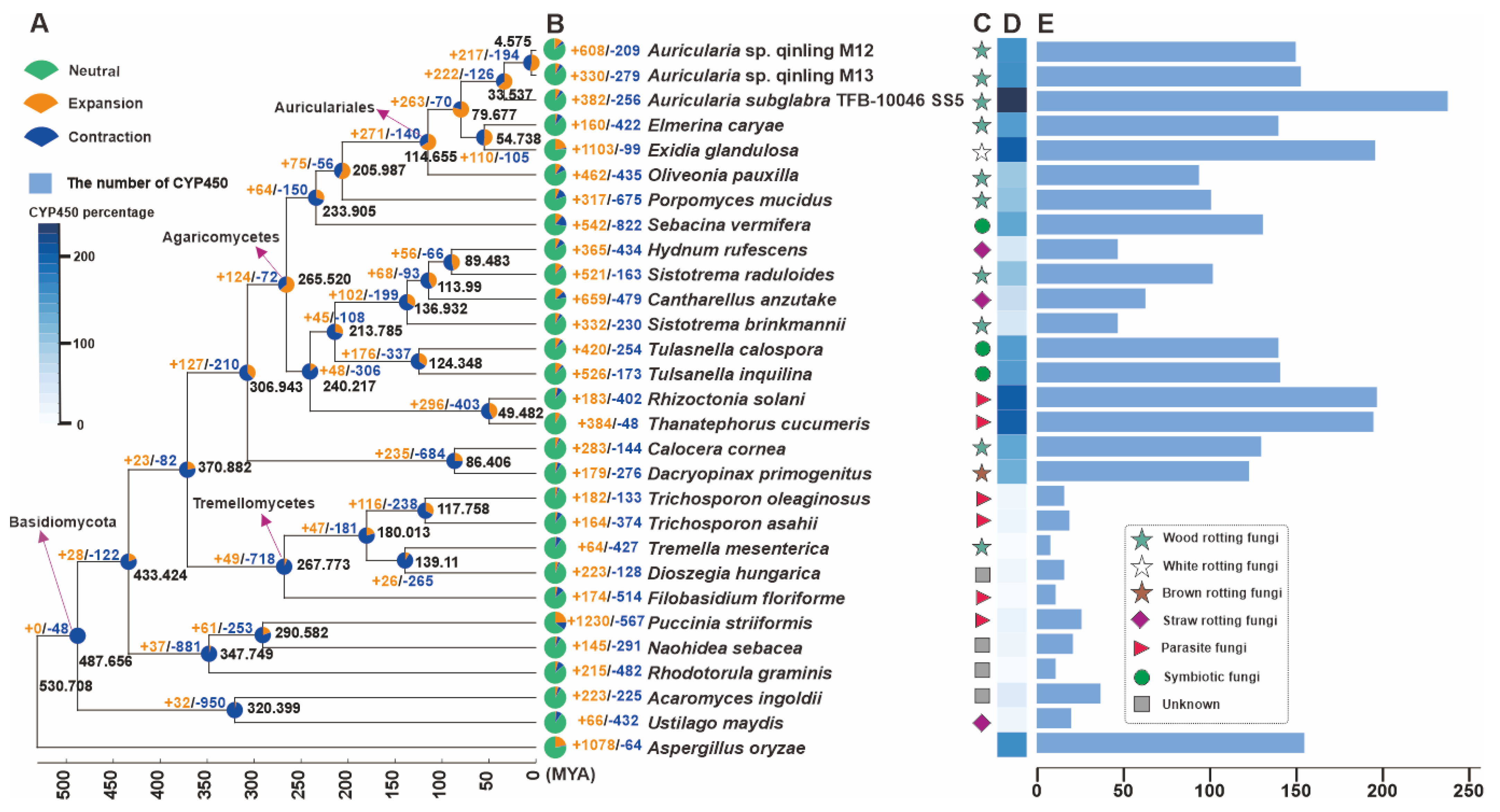 Jof 11 00395 g003 Jof 11 00395 g003
