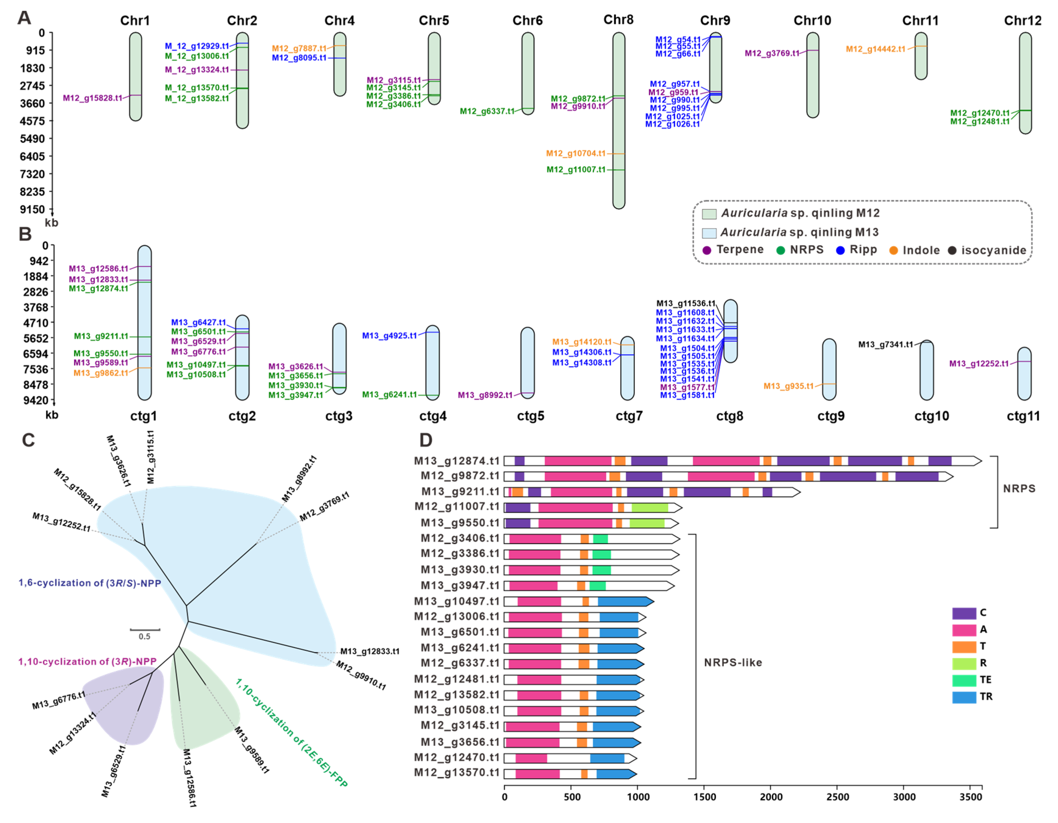 Jof 11 00395 g006 Jof 11 00395 g006