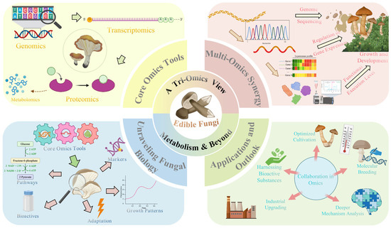 A Review of Genomic, Transcriptomic, and Proteomic Applications in