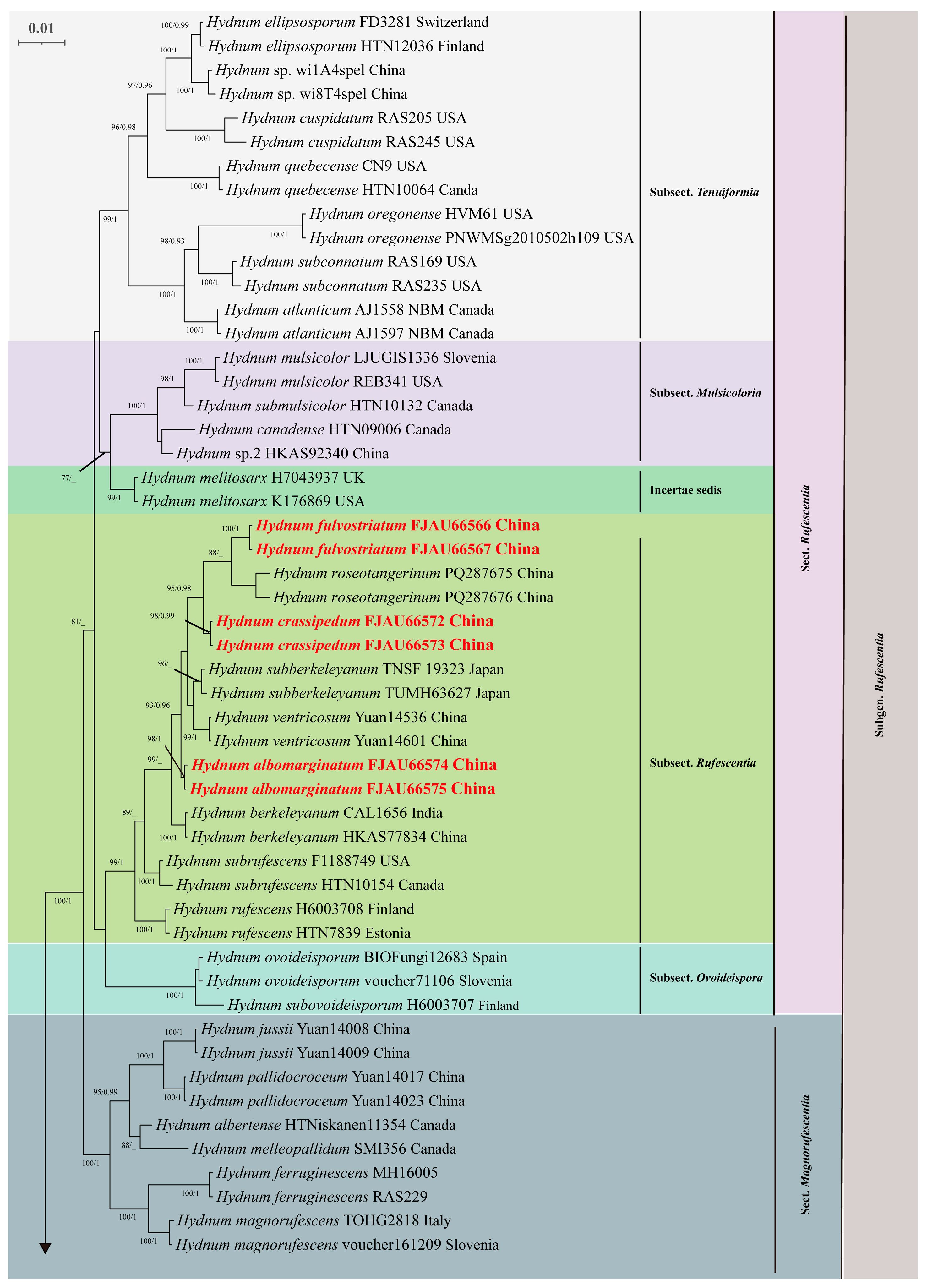 Jof 11 00431 g006 Jof 11 00431 g006