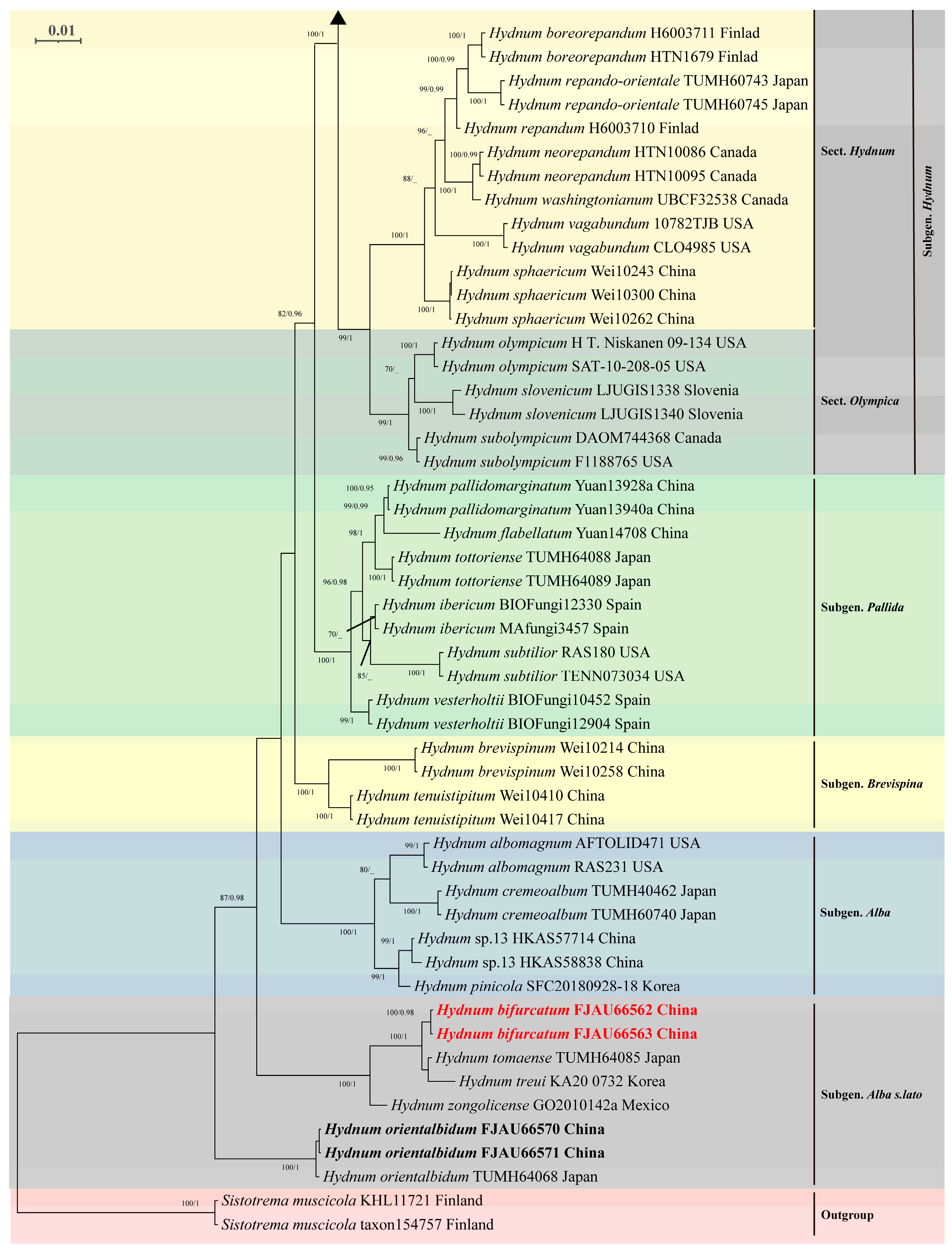 Jof 11 00431 g007 Jof 11 00431 g007