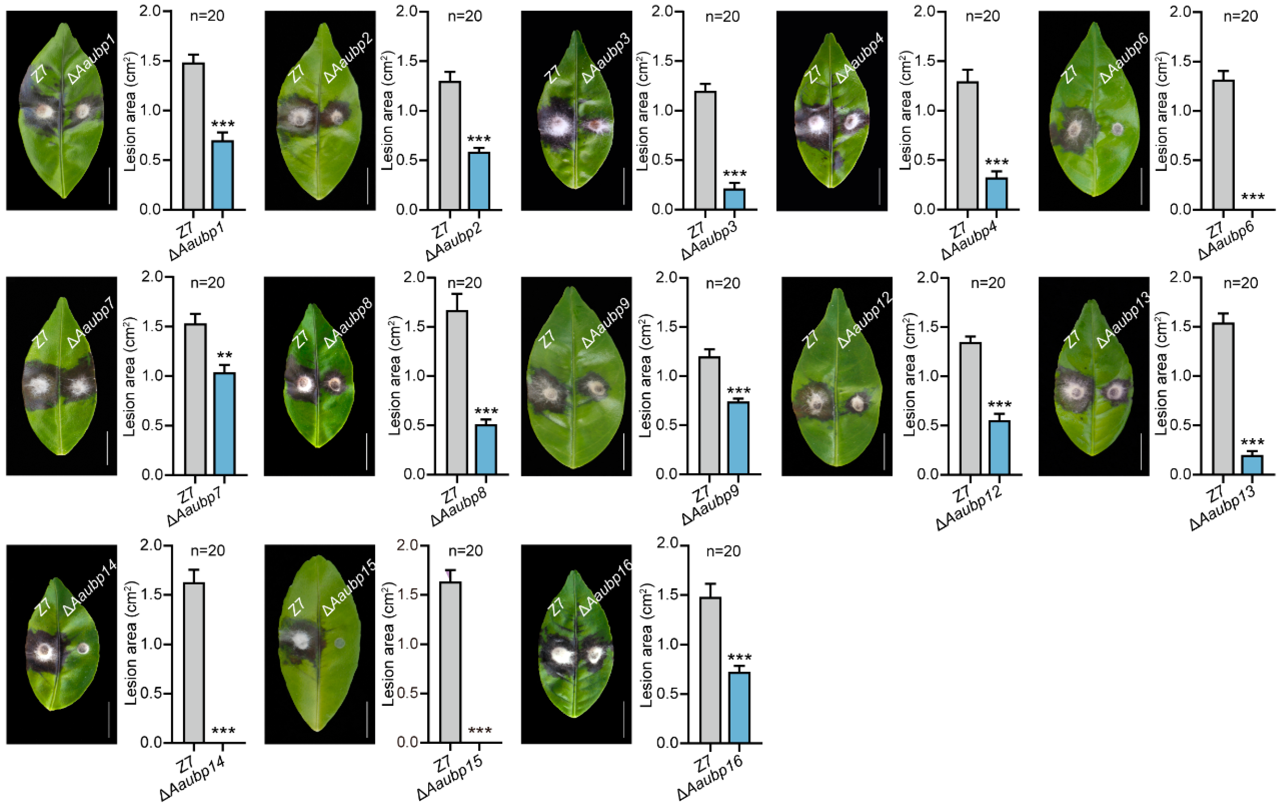 Jof 11 00495 g005 Jof 11 00495 g005