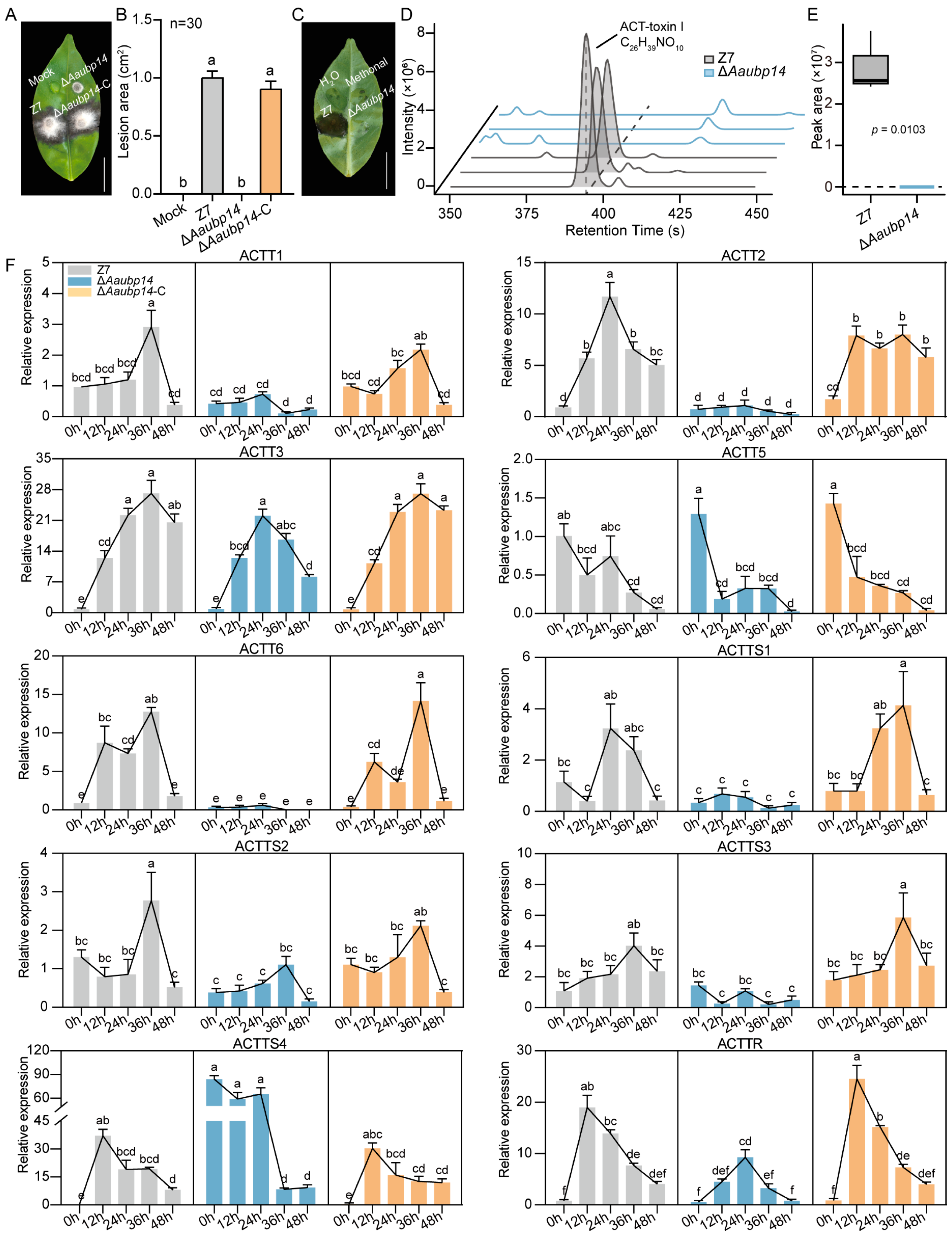 Jof 11 00495 g006 Jof 11 00495 g006