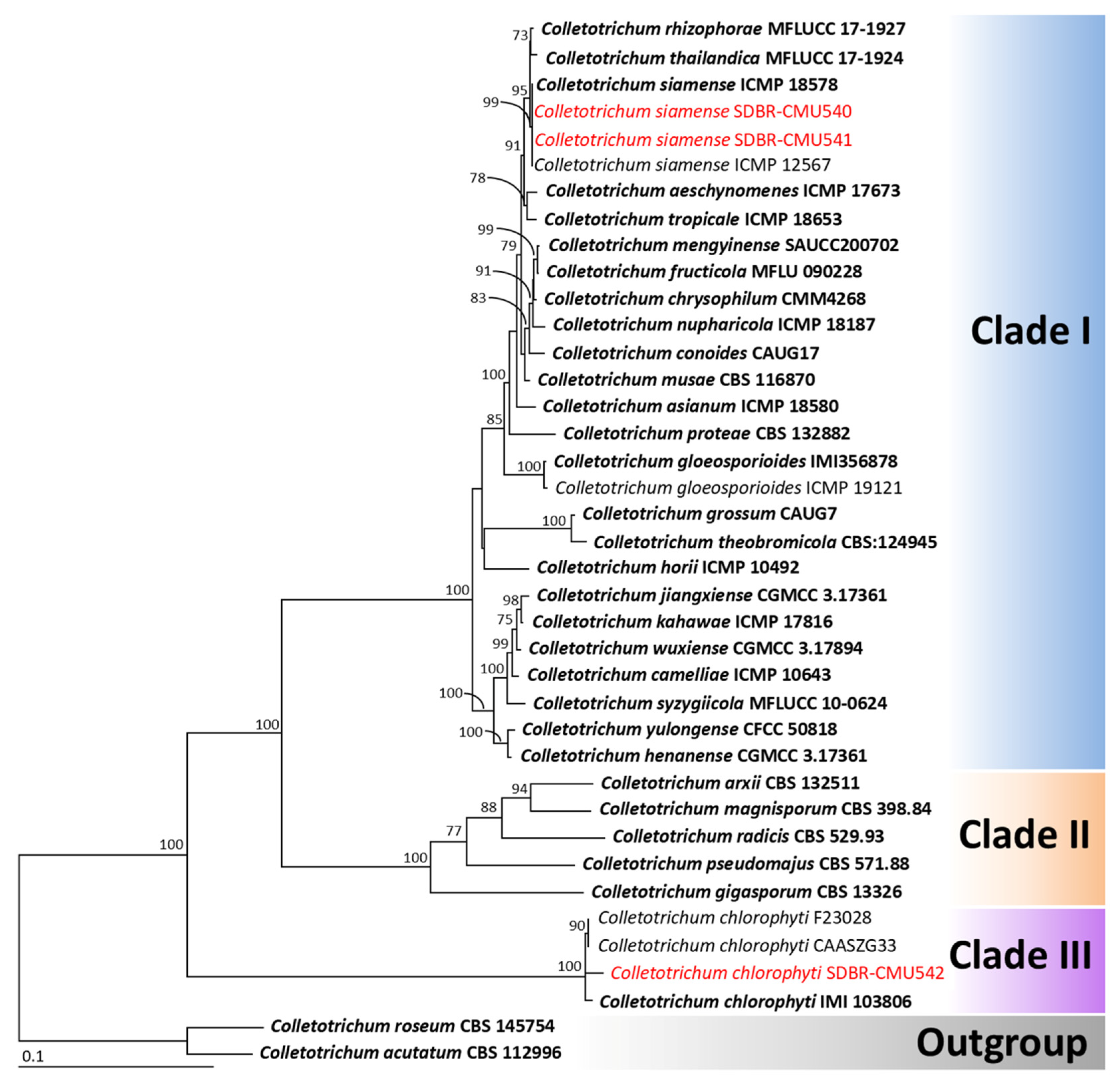 Jof 11 00540 g002 Jof 11 00540 g002