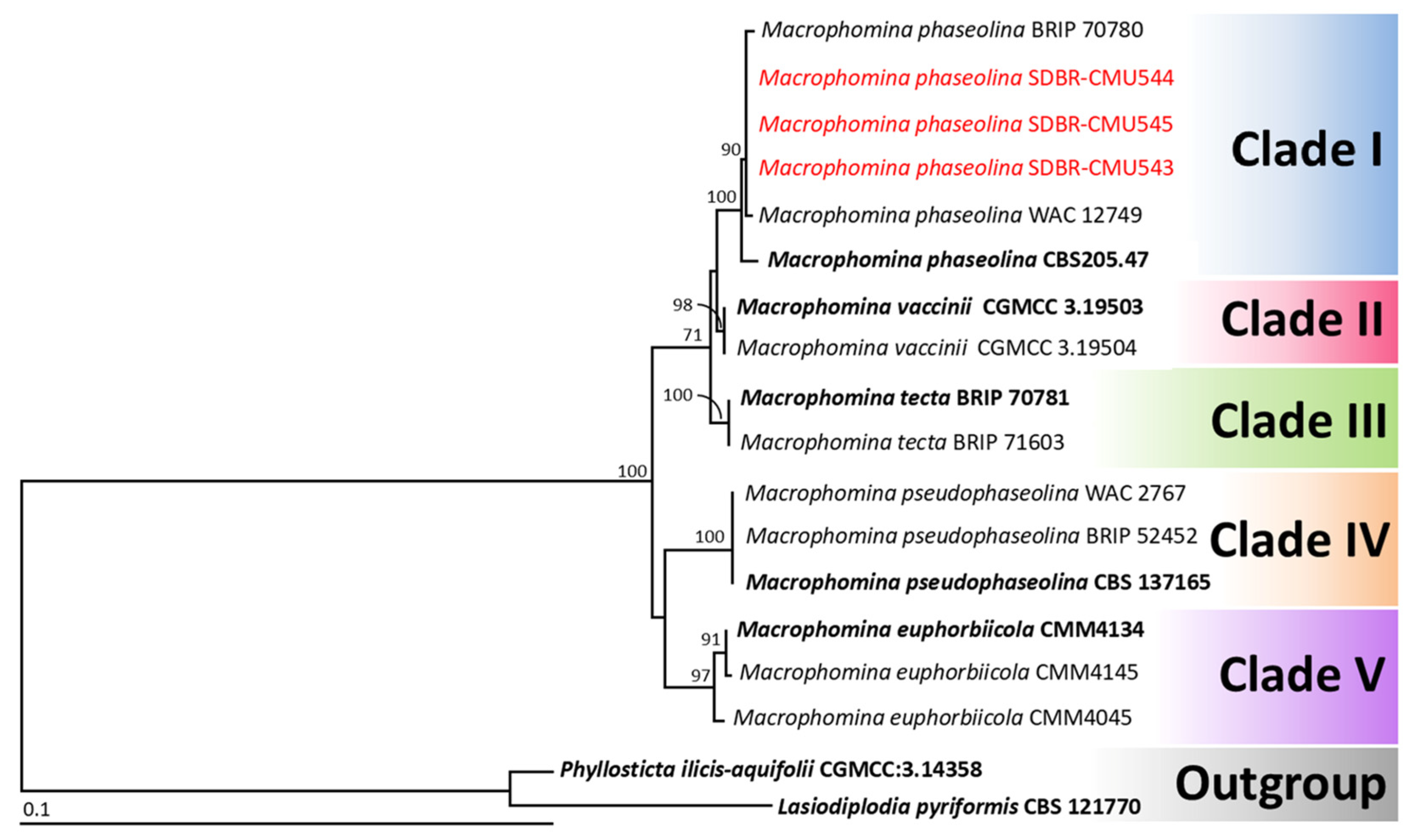 Jof 11 00540 g004 Jof 11 00540 g004
