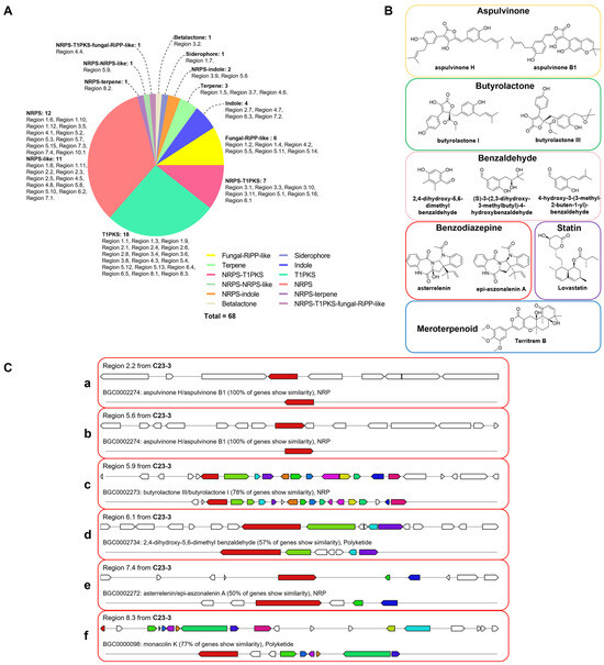 Exploring the Anti-Alzheimer's Disease Potential of
