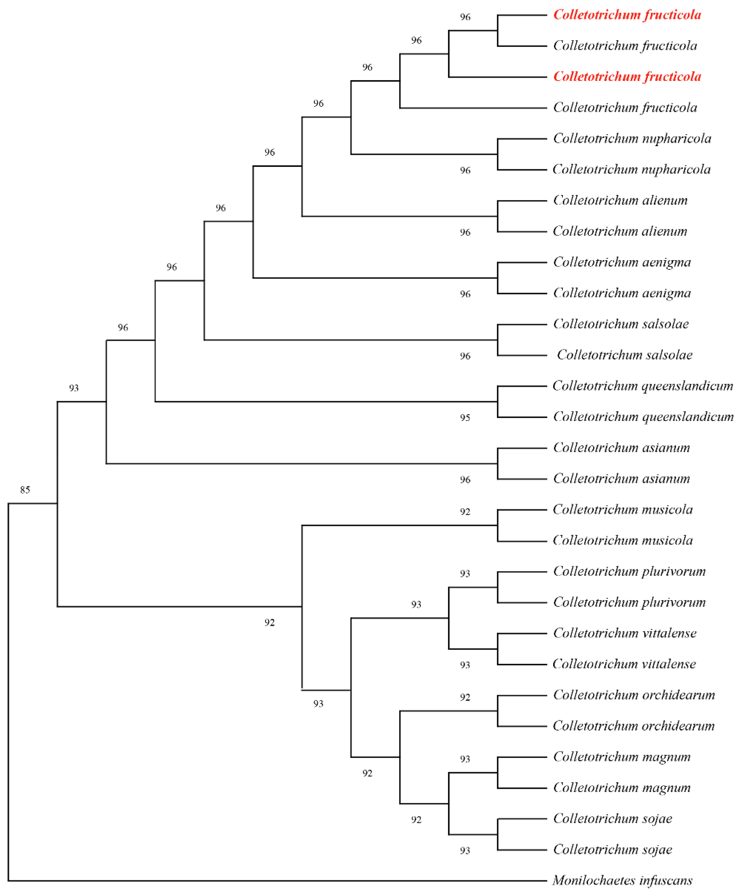 Jof 11 00547 g007 Jof 11 00547 g007