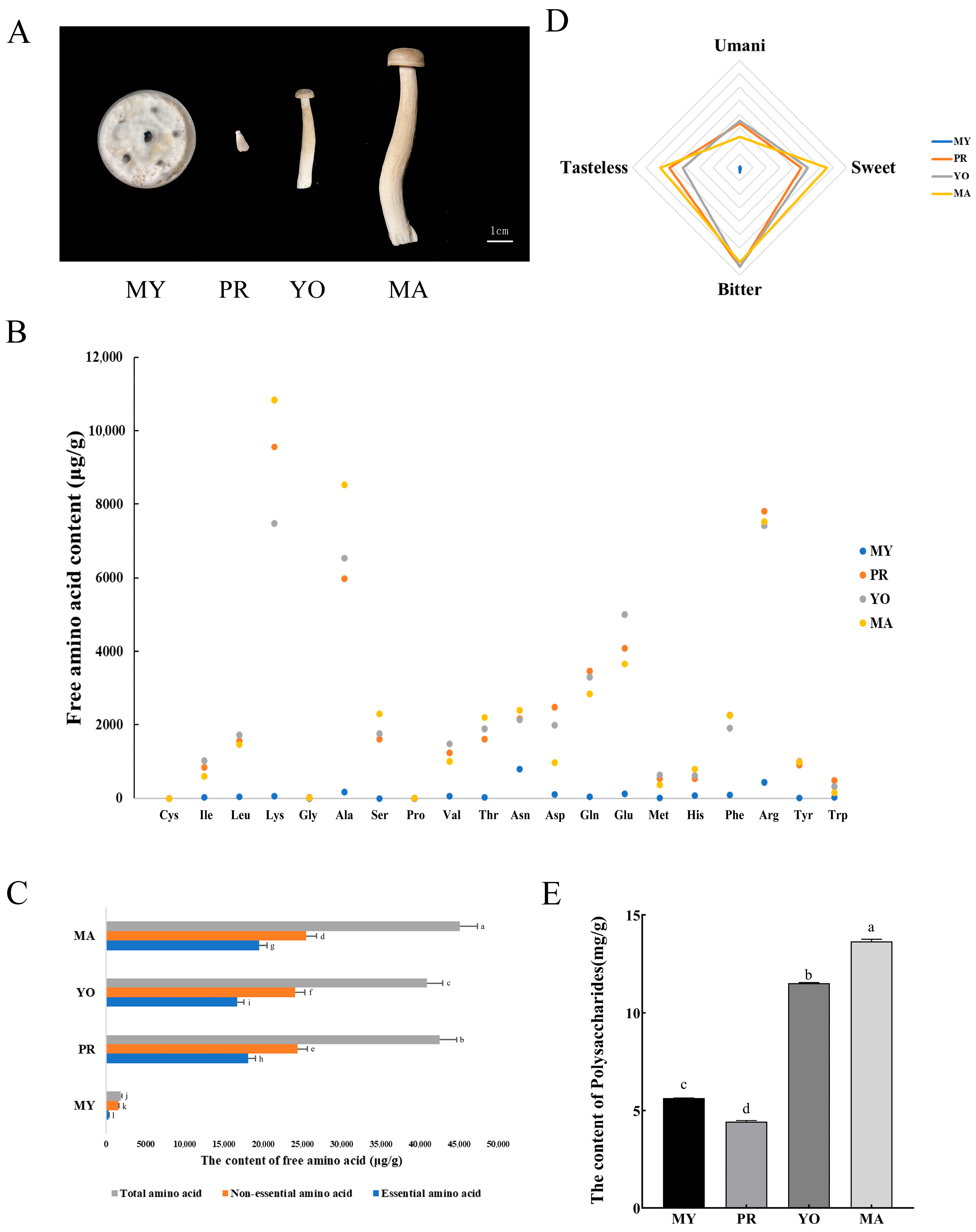 Jof 11 00586 g001 Jof 11 00586 g001
