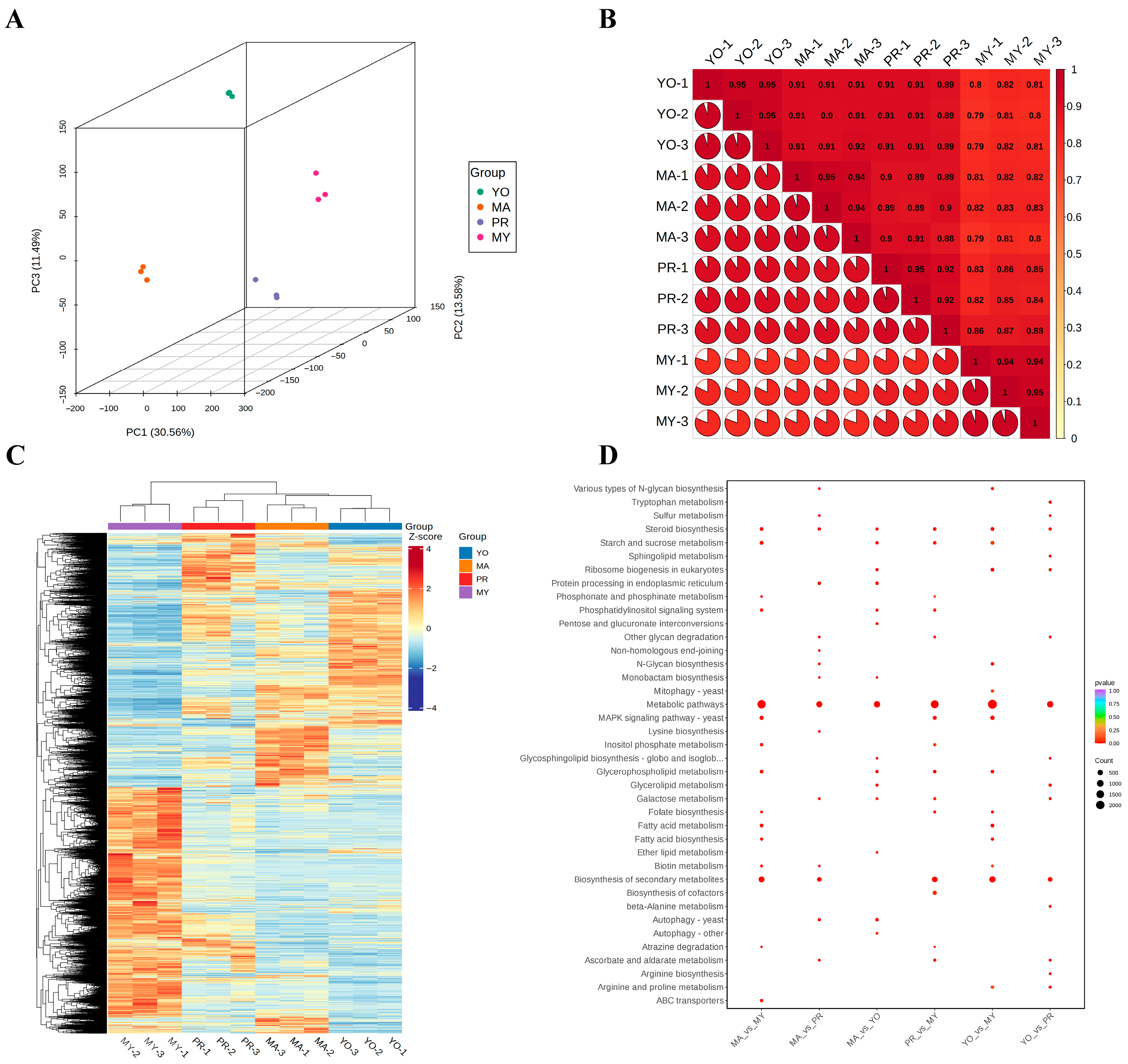 Jof 11 00586 g003 Jof 11 00586 g003