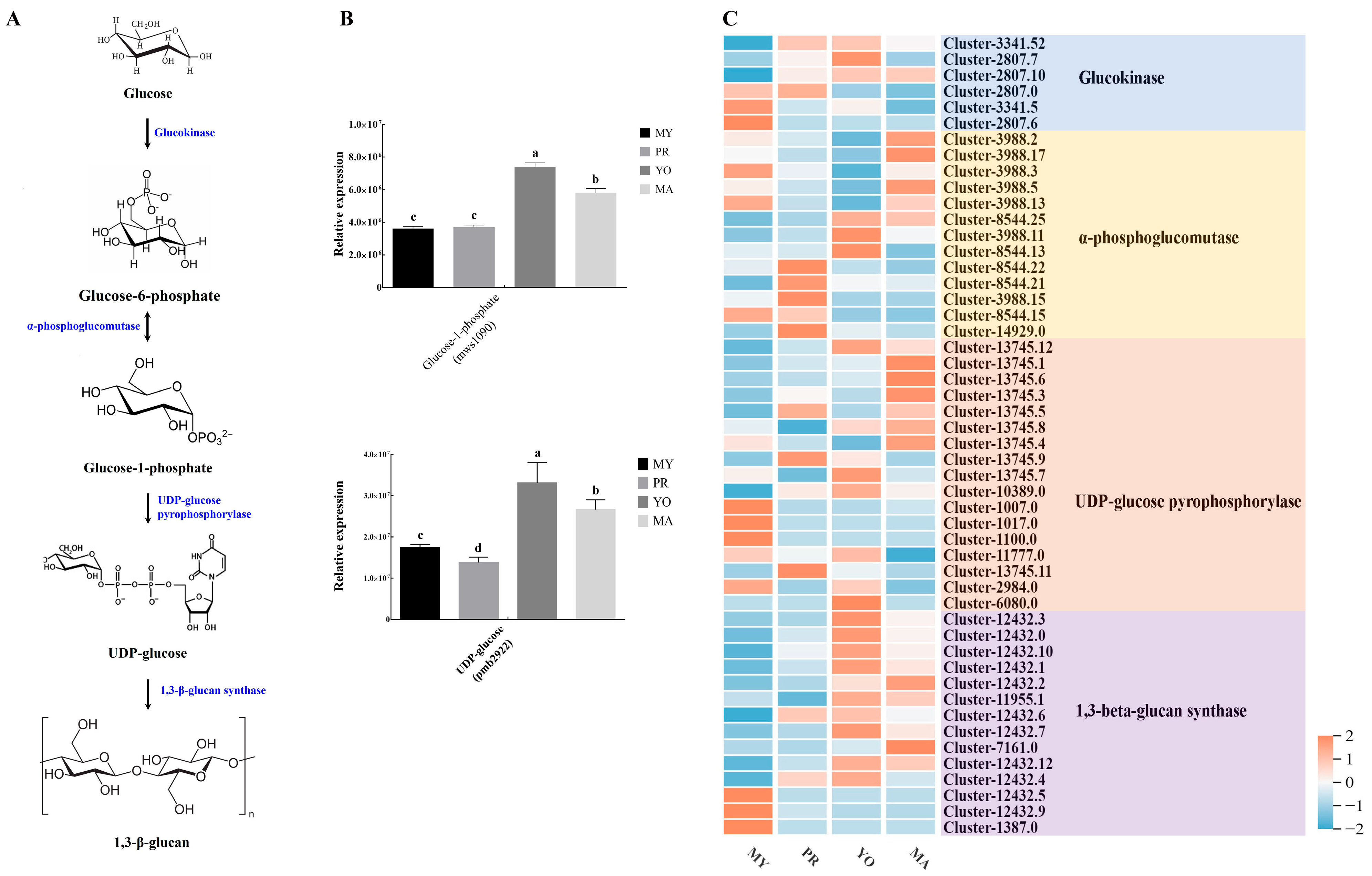 Jof 11 00586 g007 Jof 11 00586 g007