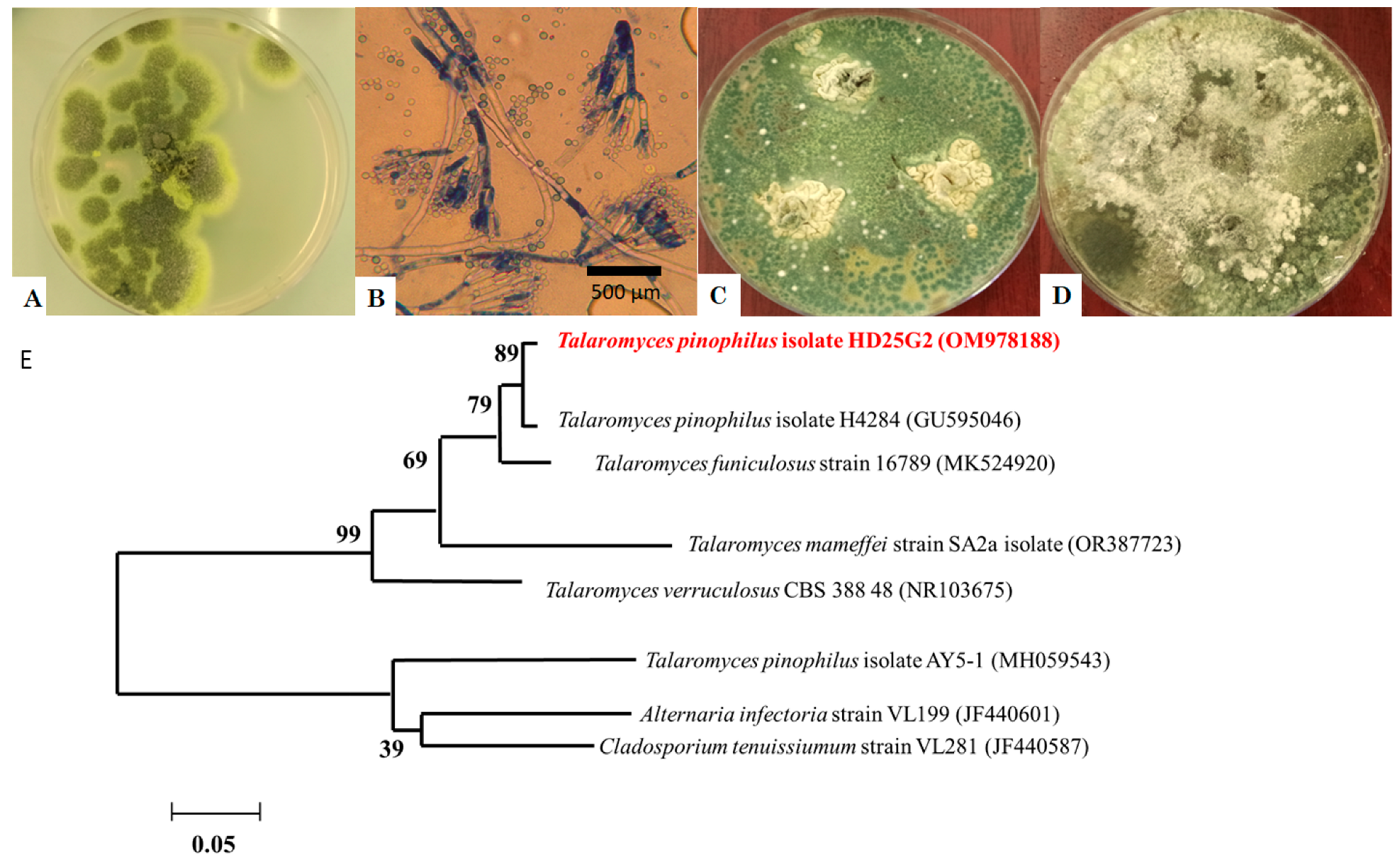 Jof 11 00588 g002 Jof 11 00588 g002