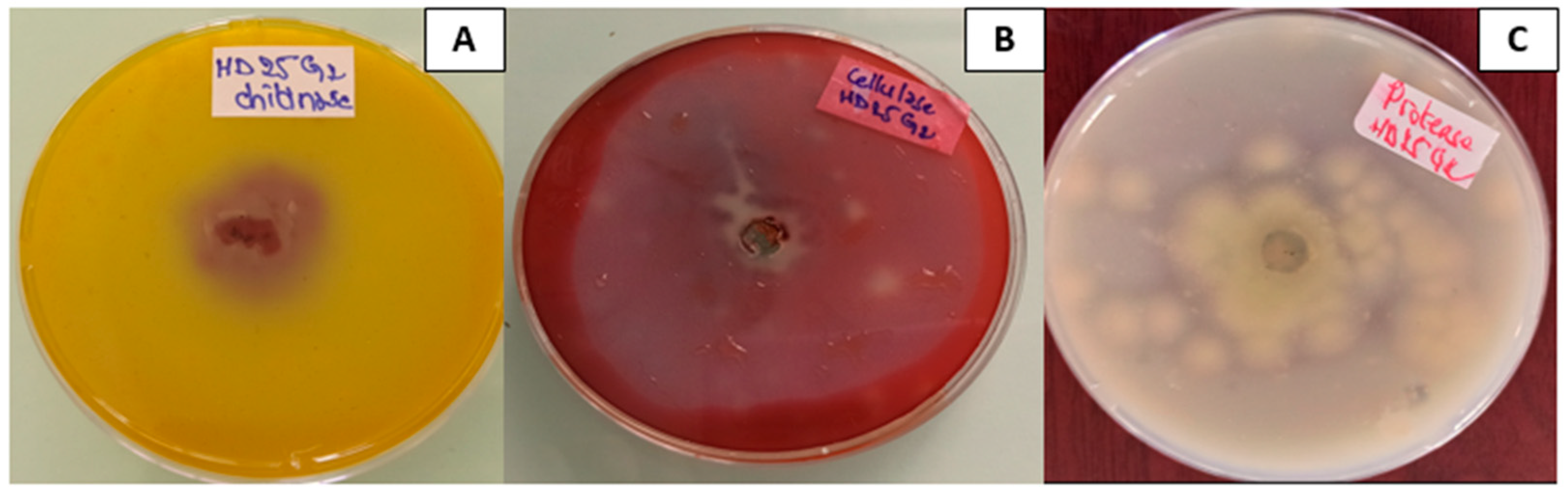 Jof 11 00588 g005 Jof 11 00588 g005