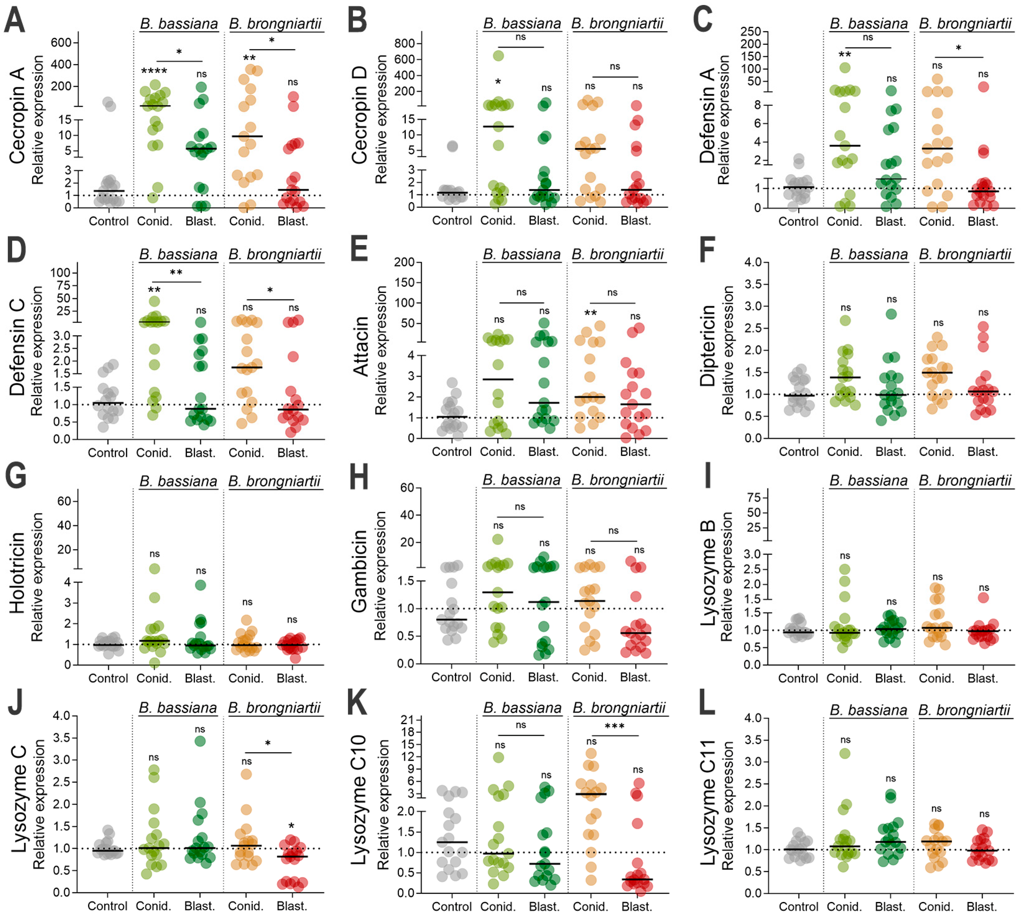 Jof 11 00608 g005 Jof 11 00608 g005
