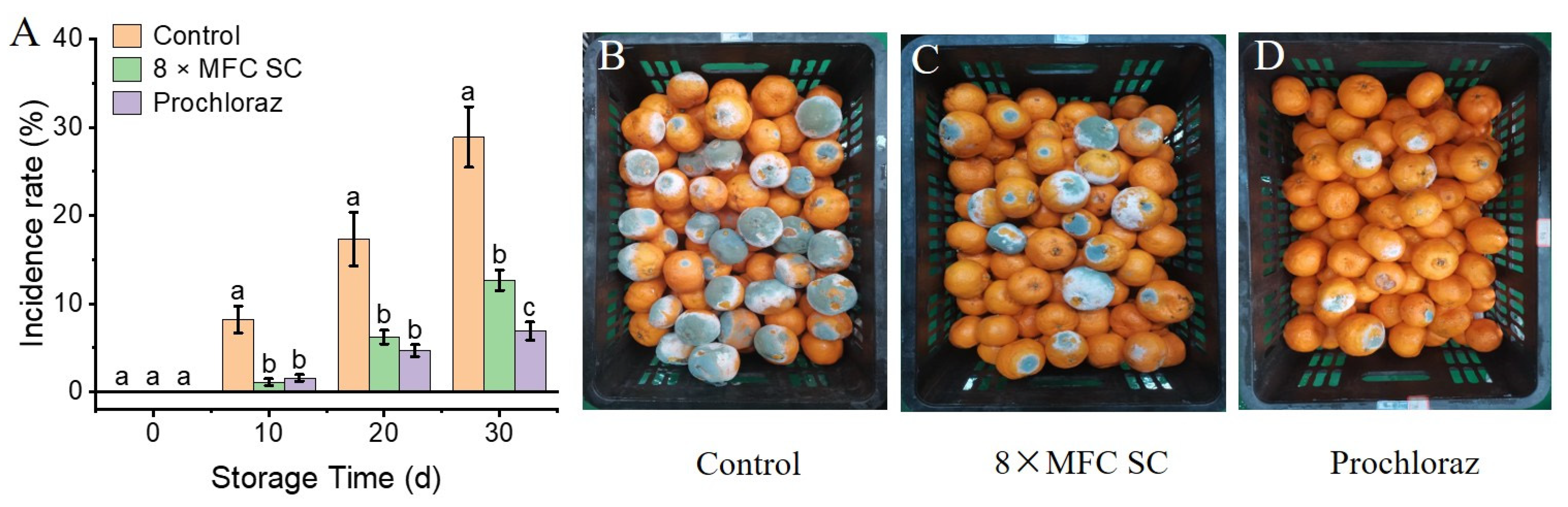 Jof 11 00612 g002 Jof 11 00612 g002